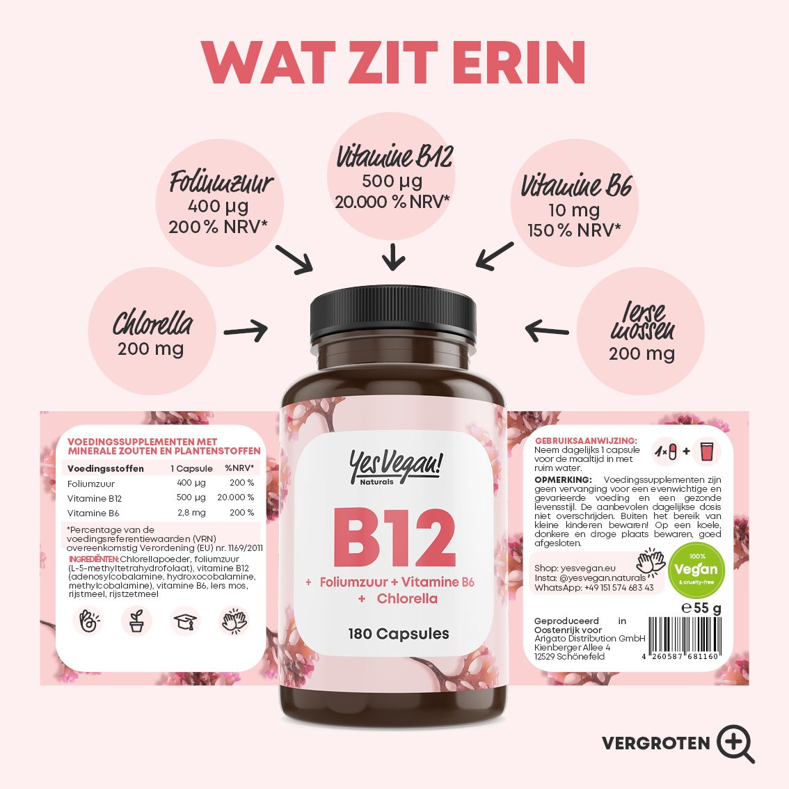 Fles en infographic van ingrediënten: B12, folaat, vitamine B6, chlorella.