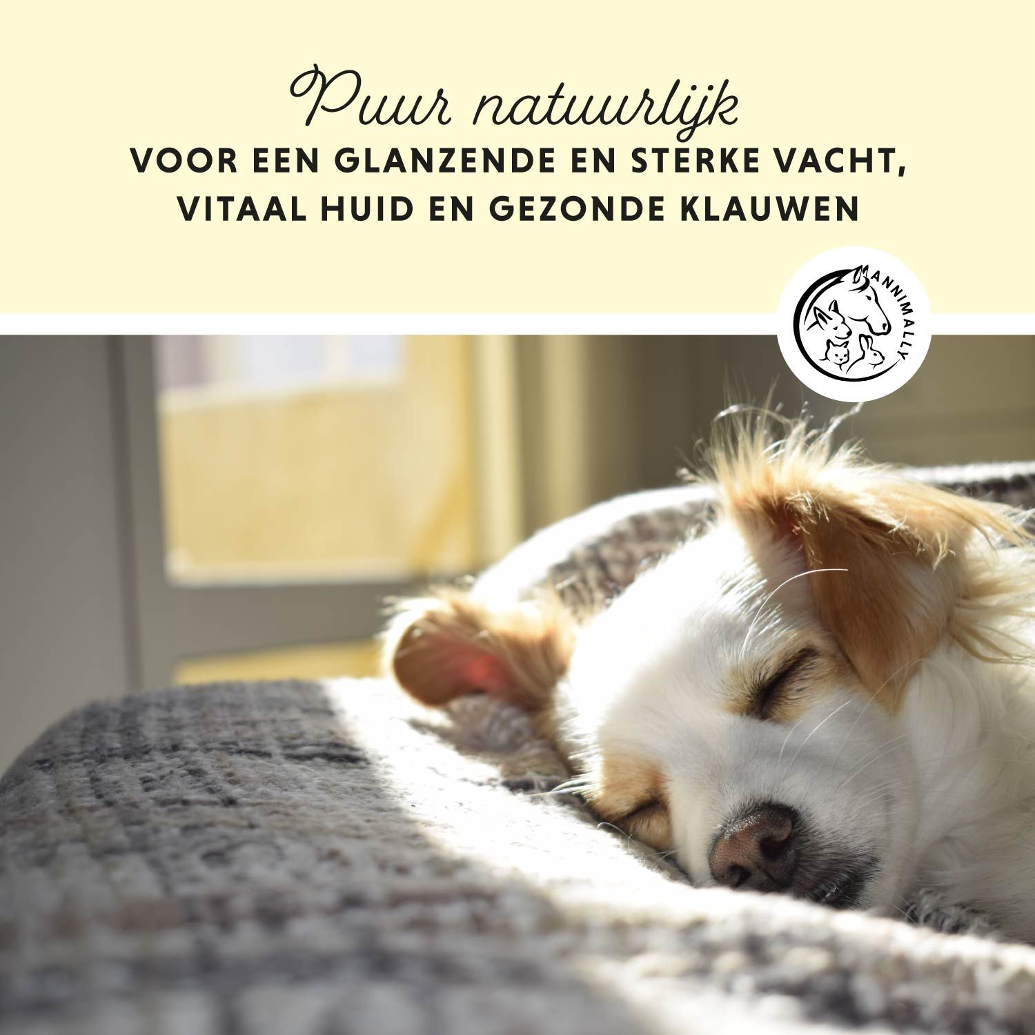 Hond slaapt op deken. Tekst: Voor glanzende vacht, vitale huid en gezonde nagels. Logo.