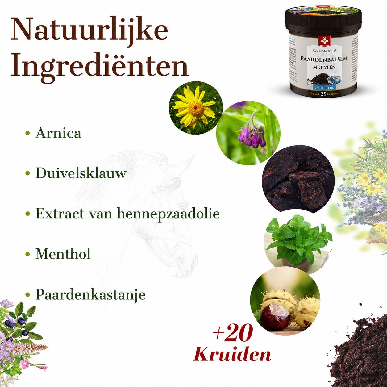 Een pot 'Paardenbalsem met Vleesh' met natuurlijke ingrediënten zoals Arnica, Duivelsklauw, hennepzaadolie, menthol en paardenkastanje.