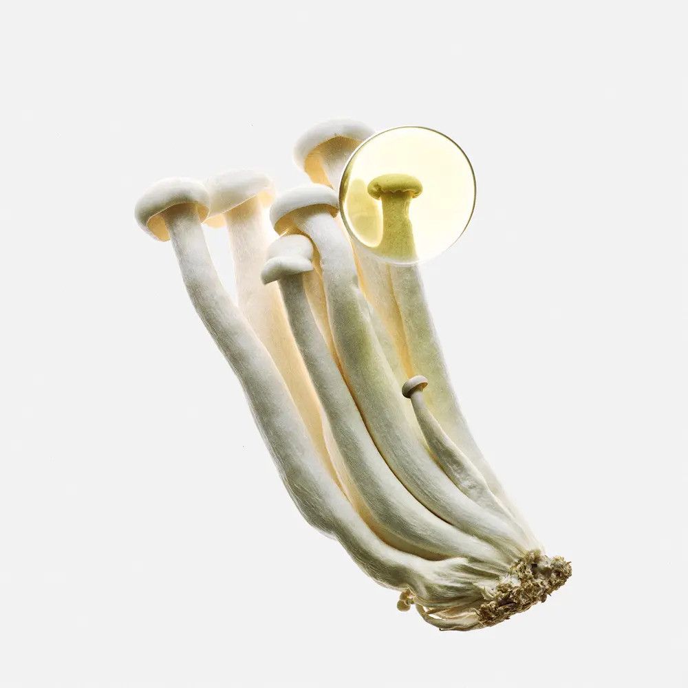 Loewe - Eau de Parfum Loewe Earth Elixir