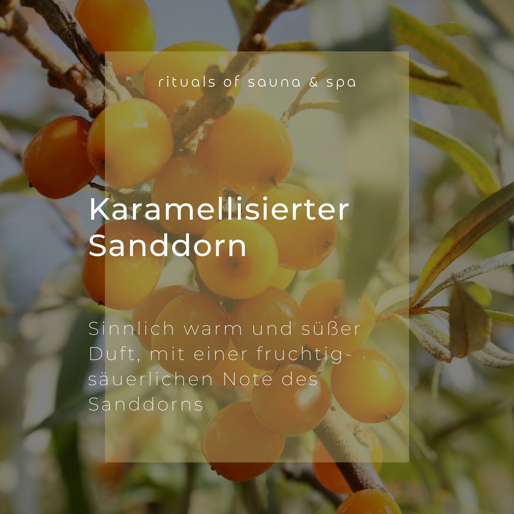 Close-up van duindoornbessen aan takken. Tekstveld met productbeschrijving: Gecarameliseerde duindoorn.