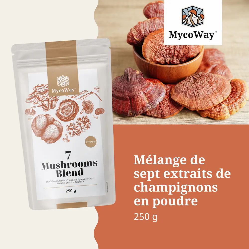 Emballage de produit avec extraits de champignons et champignons séchés. Texte: Mélange de sept extraits de champignons.