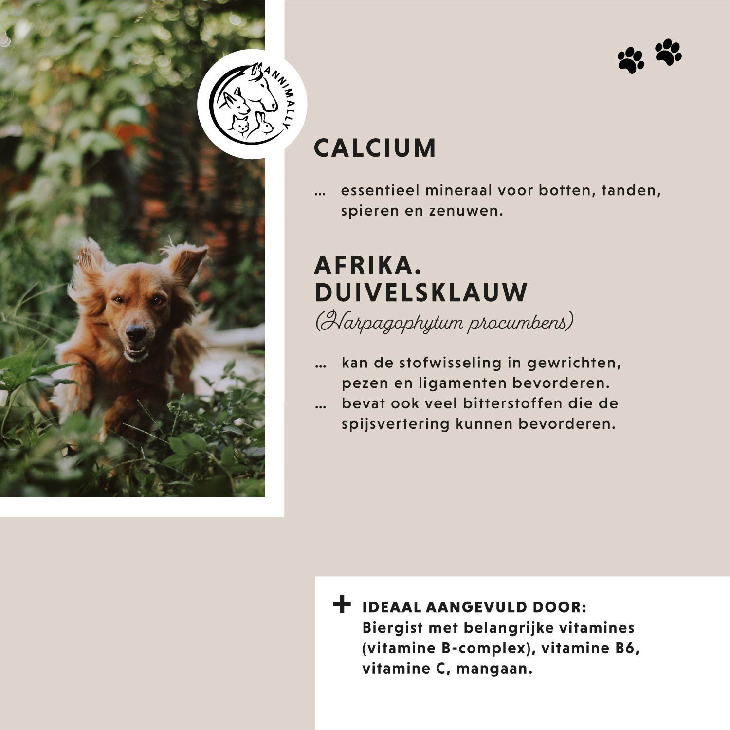 Tekst met ingrediënten: Calcium, Afrika. Duivelsklauw. Hond in het gras. Logo. Voetafdrukken.