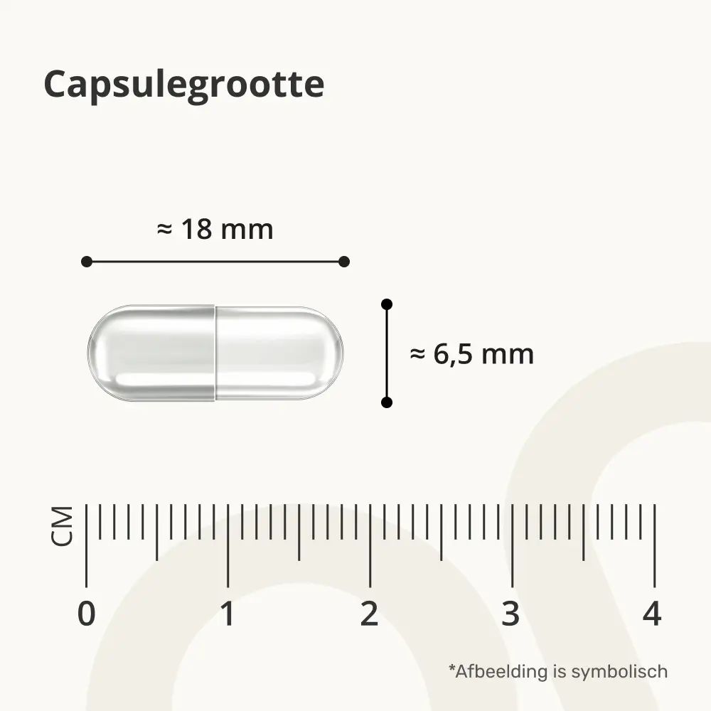 Capsule. Afmetingen: 18 mm x 6,5 mm. Schaal in mm.