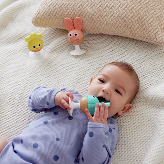 Hape Rassel en Bijtring Set