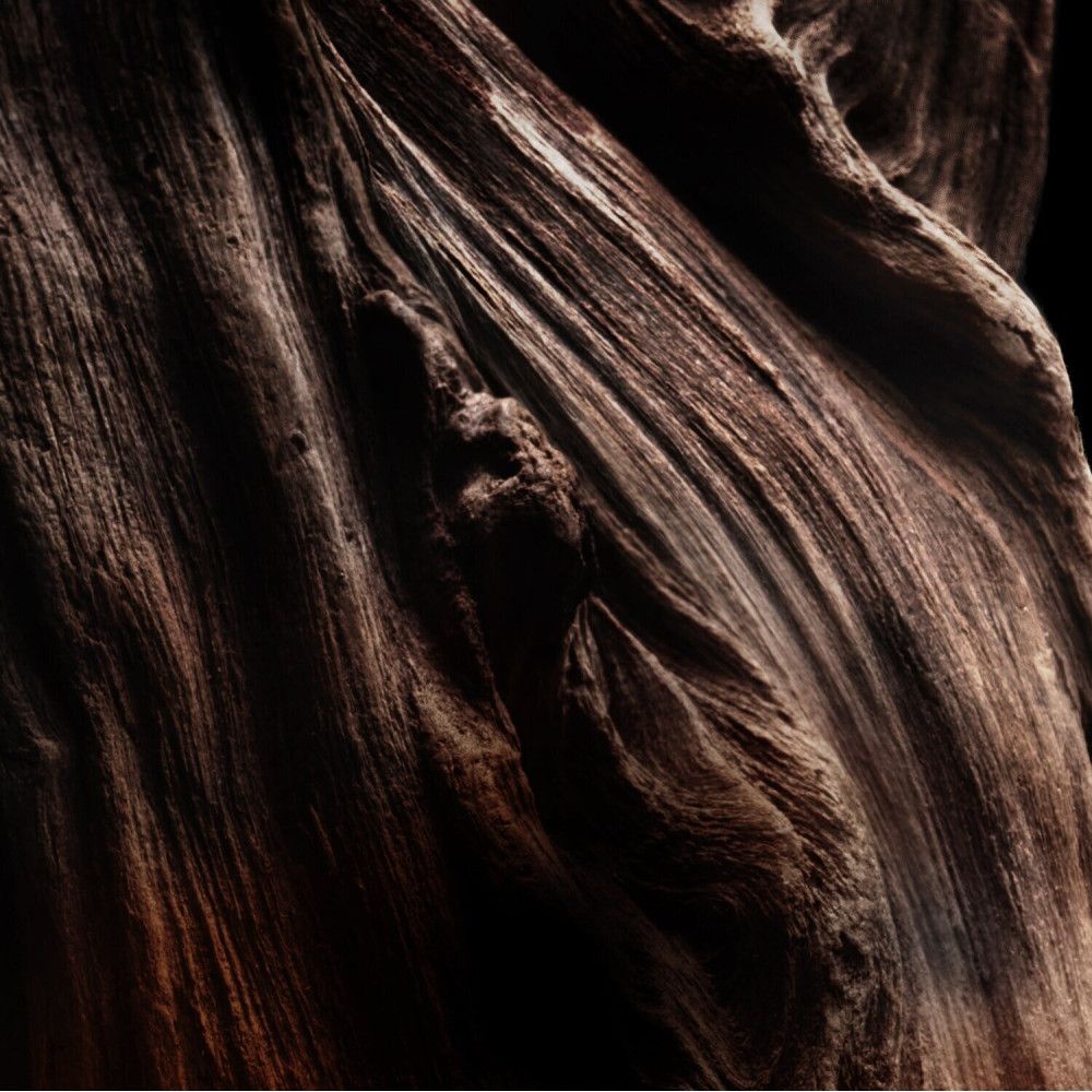 Gros plan sur du bois brun avec fissures et nœuds. Fond sombre.