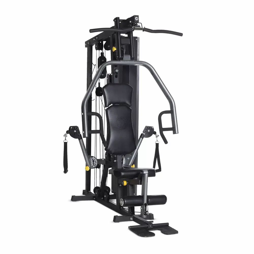 Station de musculation Horizon Fitness Torus 3
