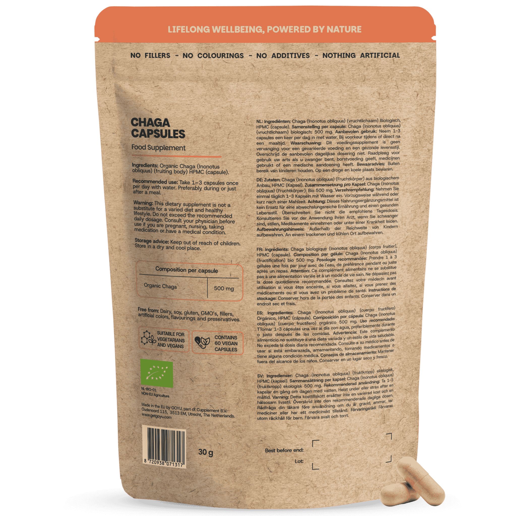 Dos d'un emballage de capsules de Chaga GOYU. Informations sur les ingrédients, le dosage et les labels tels que Bio et Vegan.