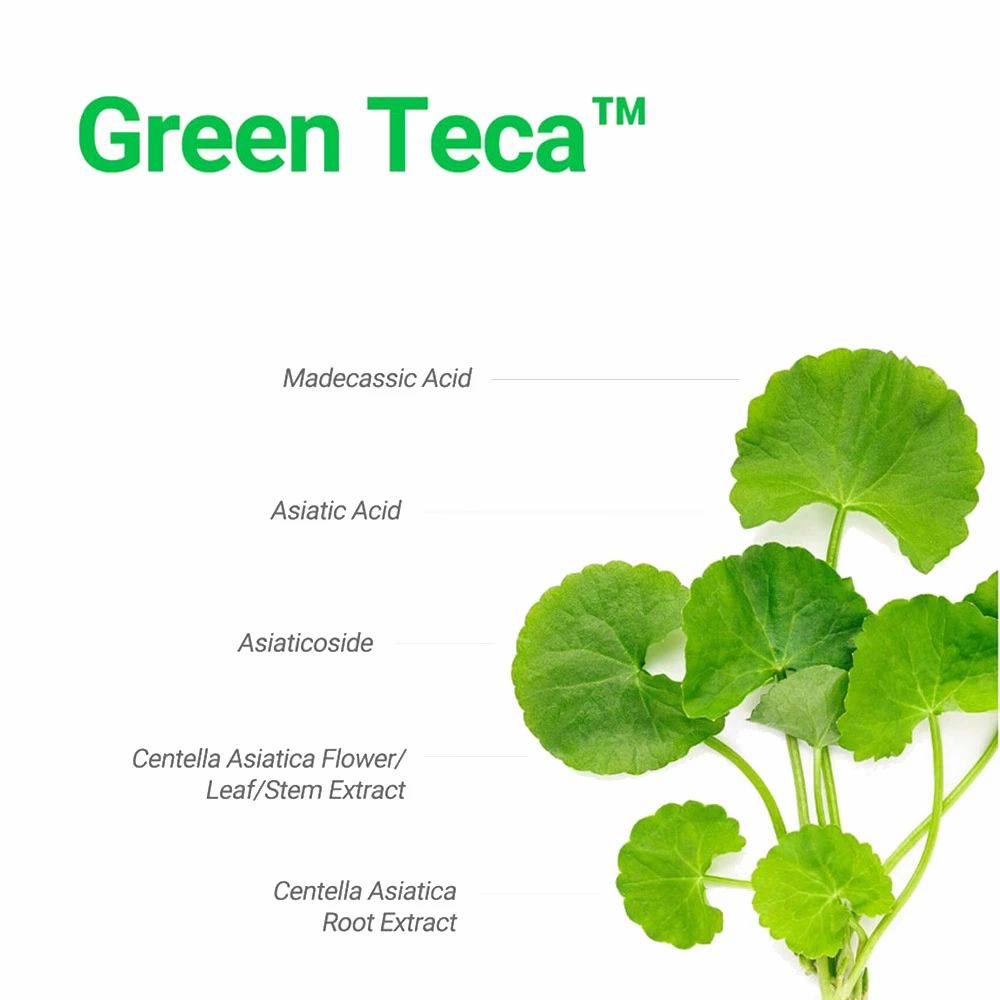 Feuilles vertes avec texte. Le texte indique des ingrédients tels que l'acide madécassique, l'acide asiatique, l'asiaticoside, l'extrait de Centella Asiatica.