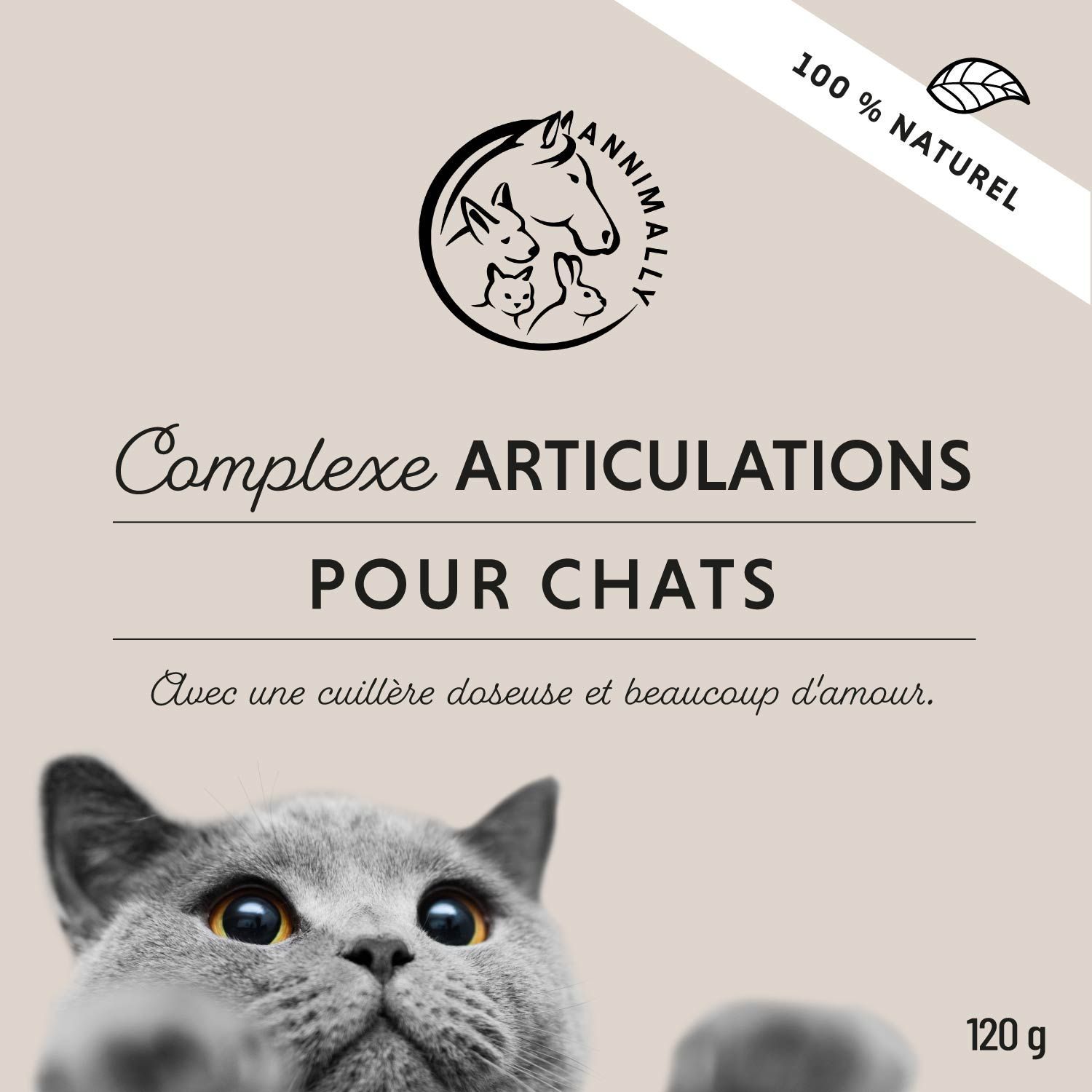 Texte avec chats et texte. Favorise le bien-être. Soutient l'appareil musculaire.