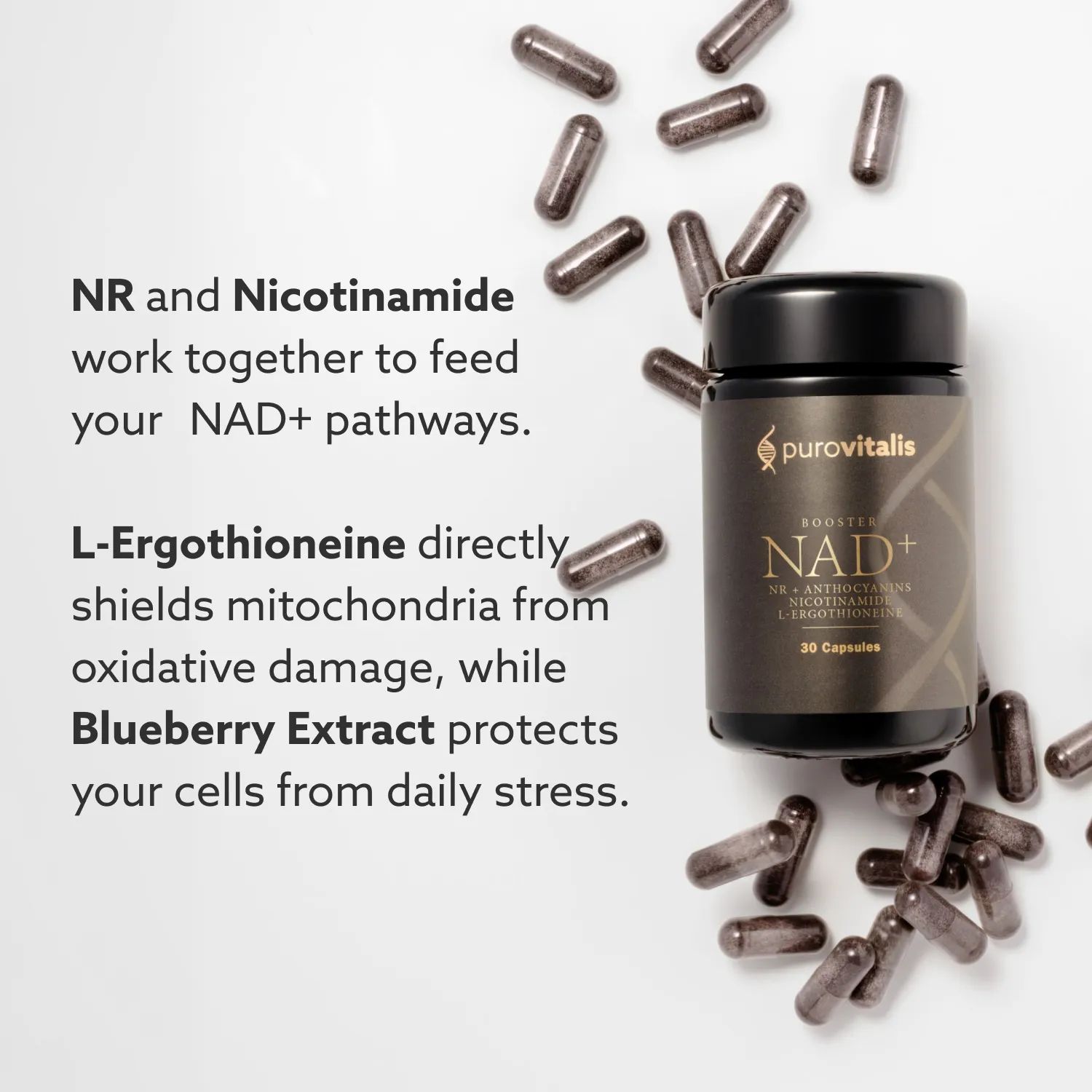 Flacon et capsules. Texte: NR et Nicotinamide soutiennent les voies NAD+. L-Ergothionéine protège les mitochondries. Extrait de myrtille protège les cellules.