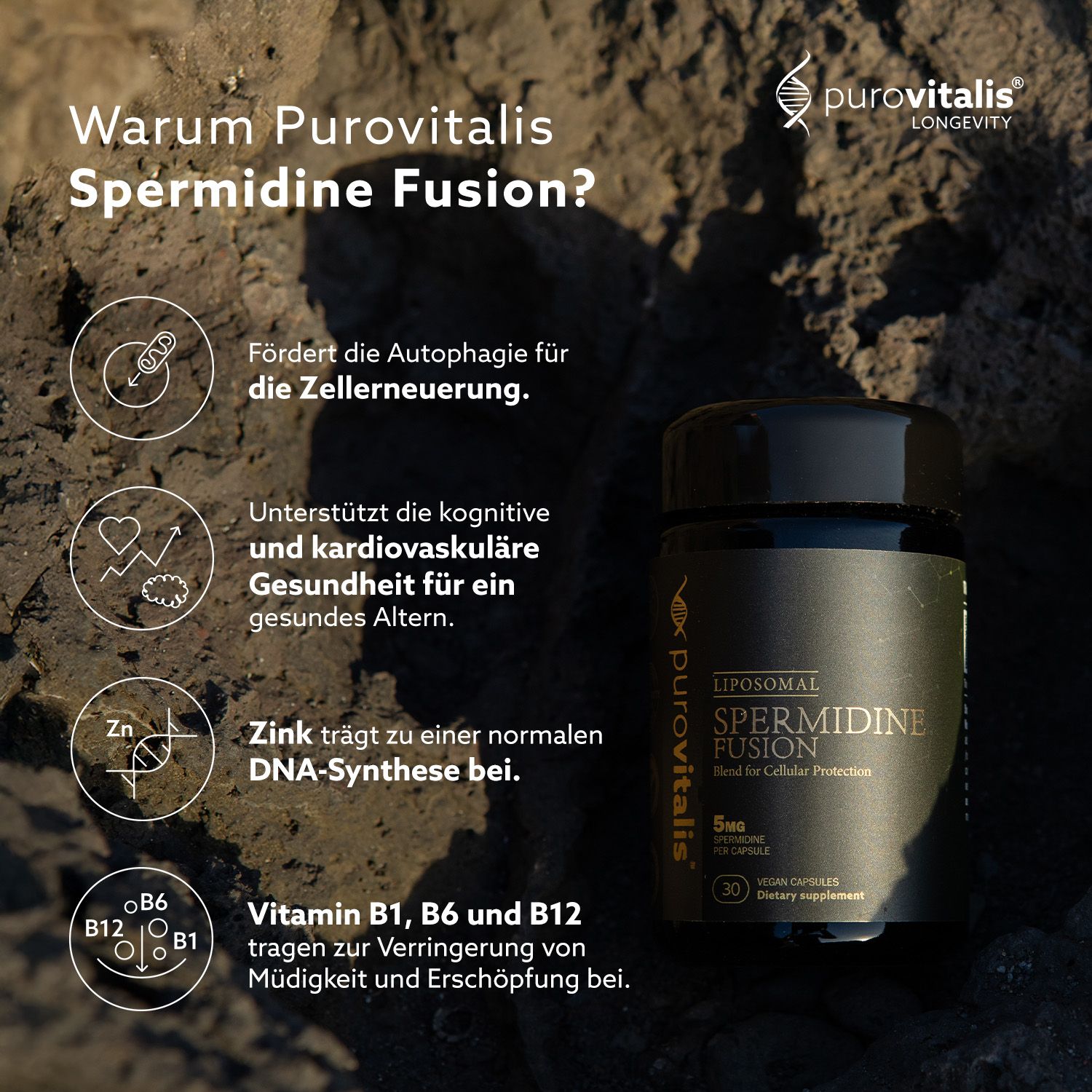 Fles 'Liposomale Spermidine Fusion' op stenen. Voordelen: autofagie, cognitieve gezondheid, zink, vitamines B1, B6, B12.