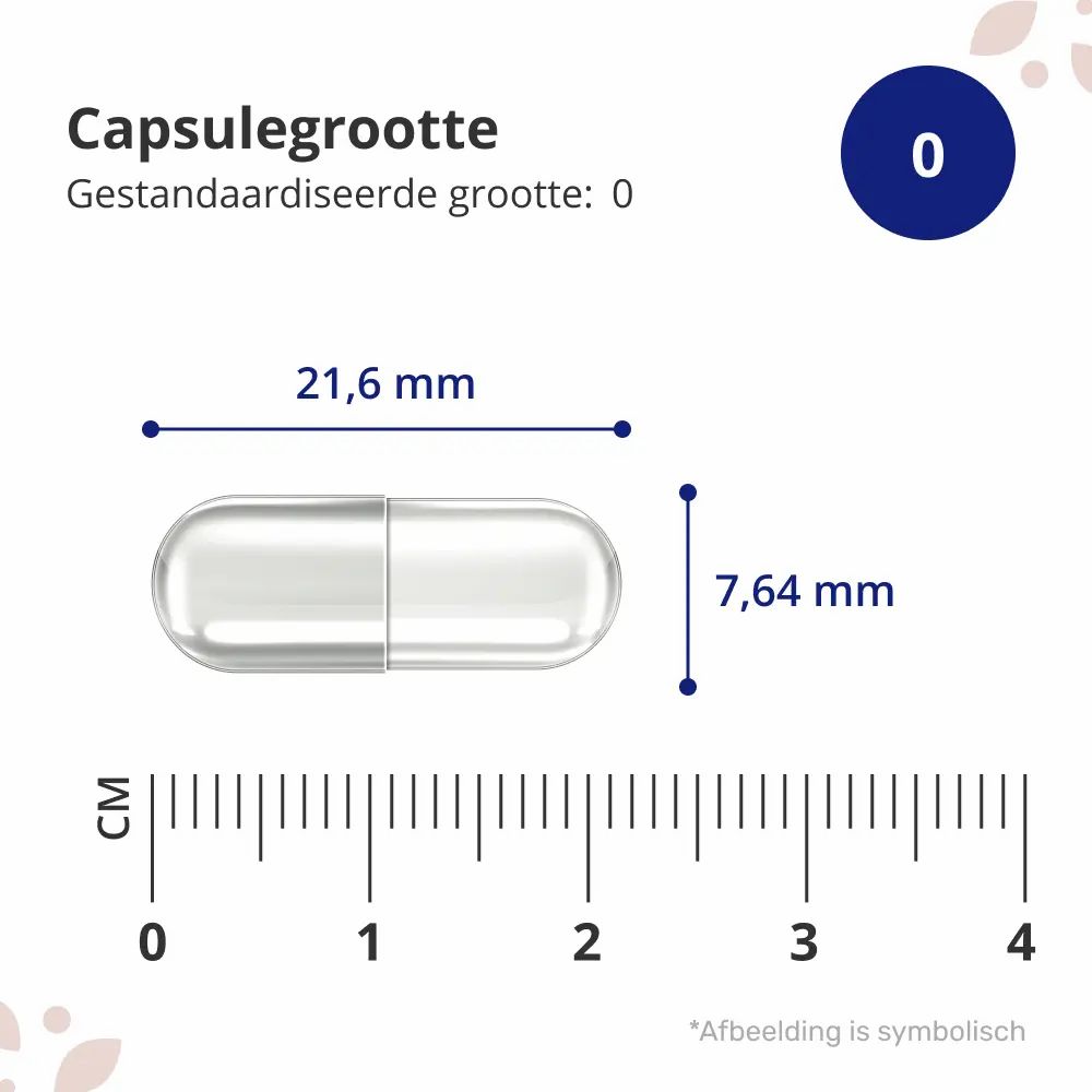 Capsulemaat 0. Afmetingen: 21,6 mm lang, 7,64 mm diameter. Transparante capsule met cm-schaal.