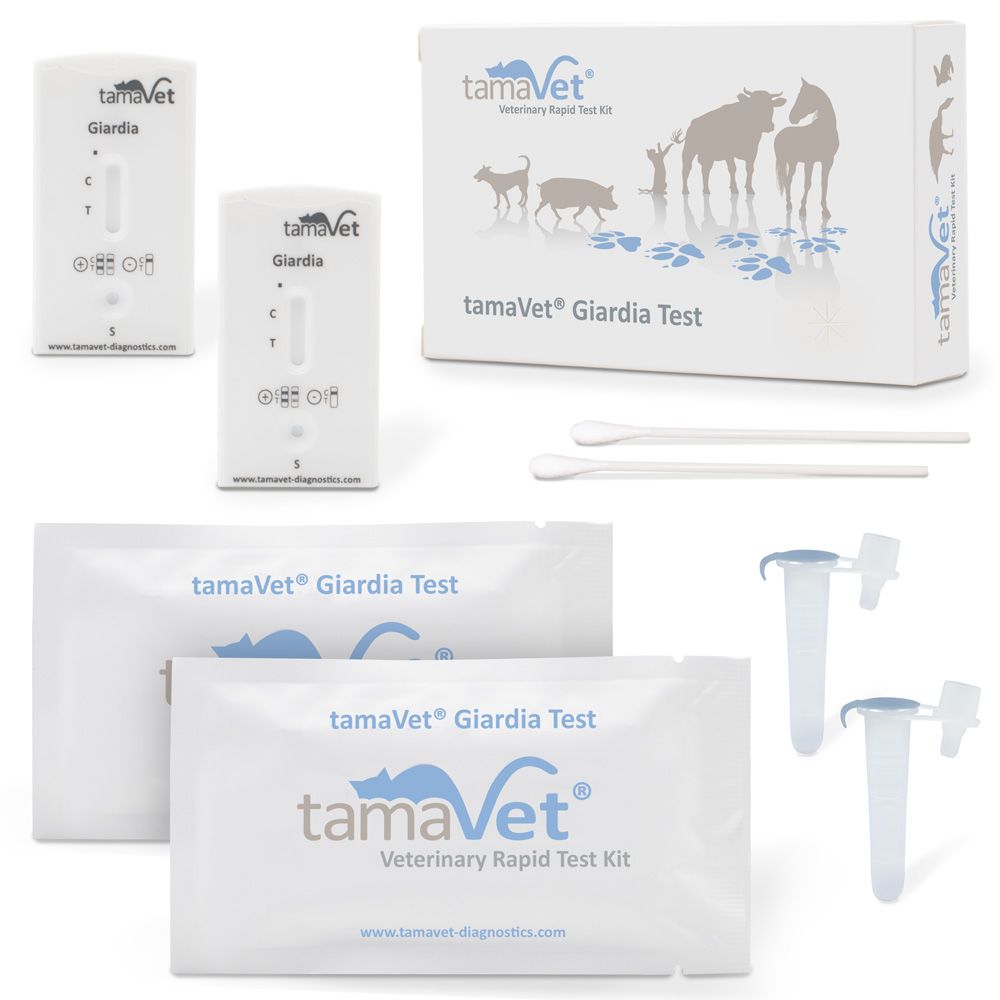 Veterinaire sneltestkit. Bevat testcassettes, verpakkingen, swabs en buisjes. Opschrift: tamaVet Giardia Test.