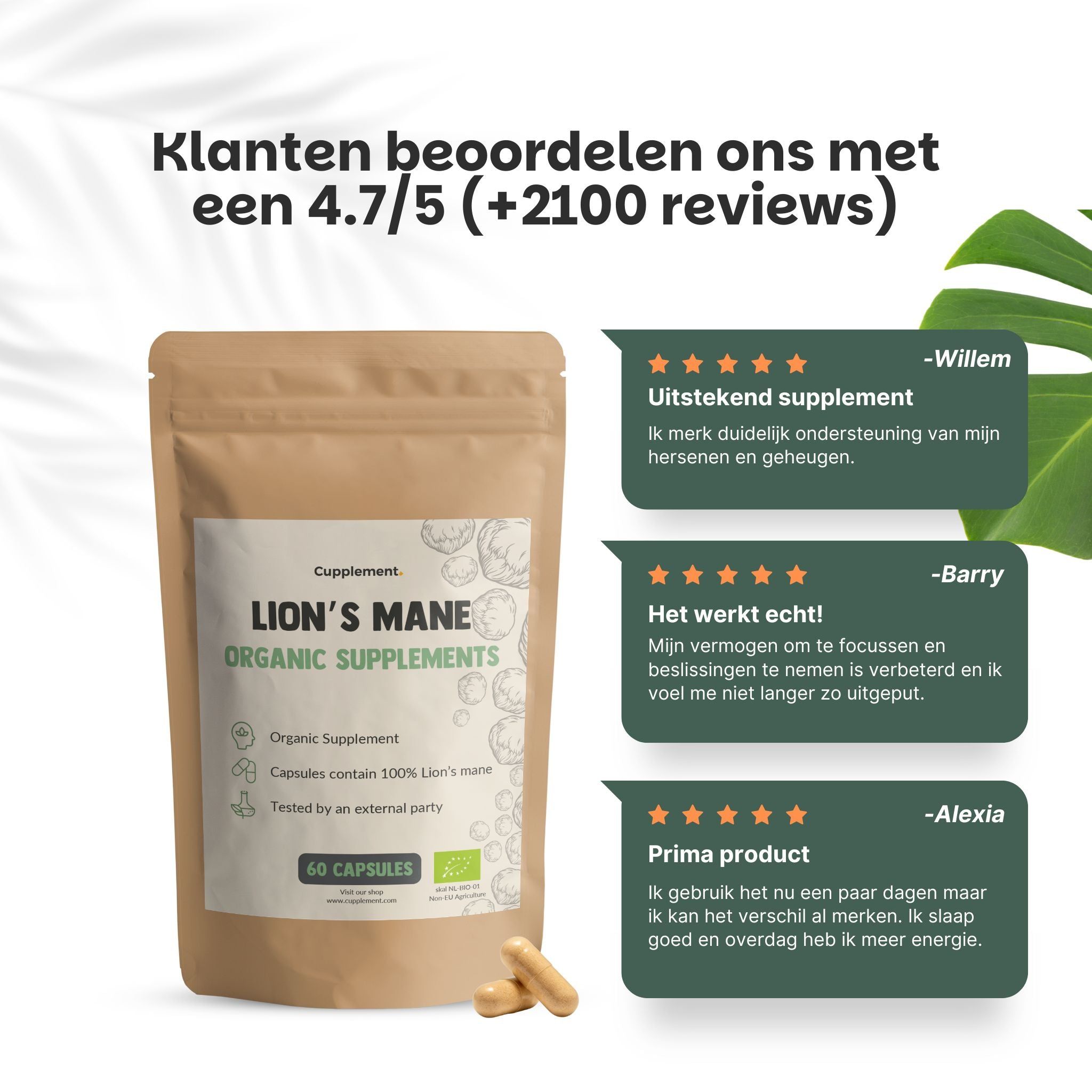 Zakje met capsules. Tekst: Lion's Mane Organic Supplements. 60 capsules. Bruine capsules ernaast. Reviews.