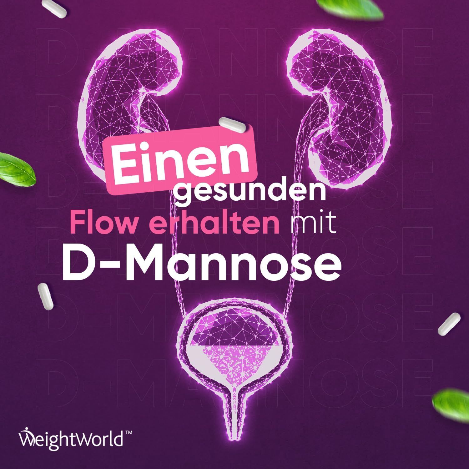 Grafische weergave van nieren en blaas. Tekst: Flow behouden met D-Mannose. WeightWorld logo.