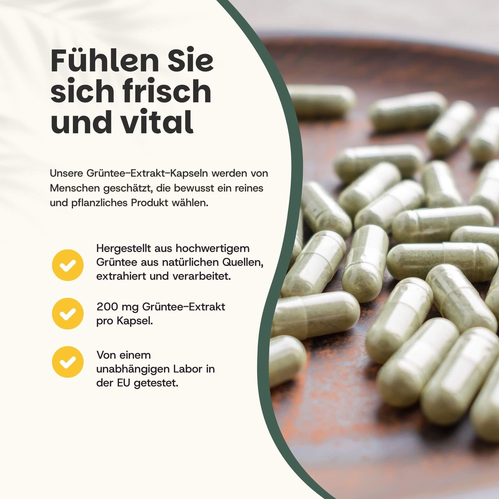 Gélules vertes à l'extrait de thé vert, 200 mg par gélule, sur une assiette.