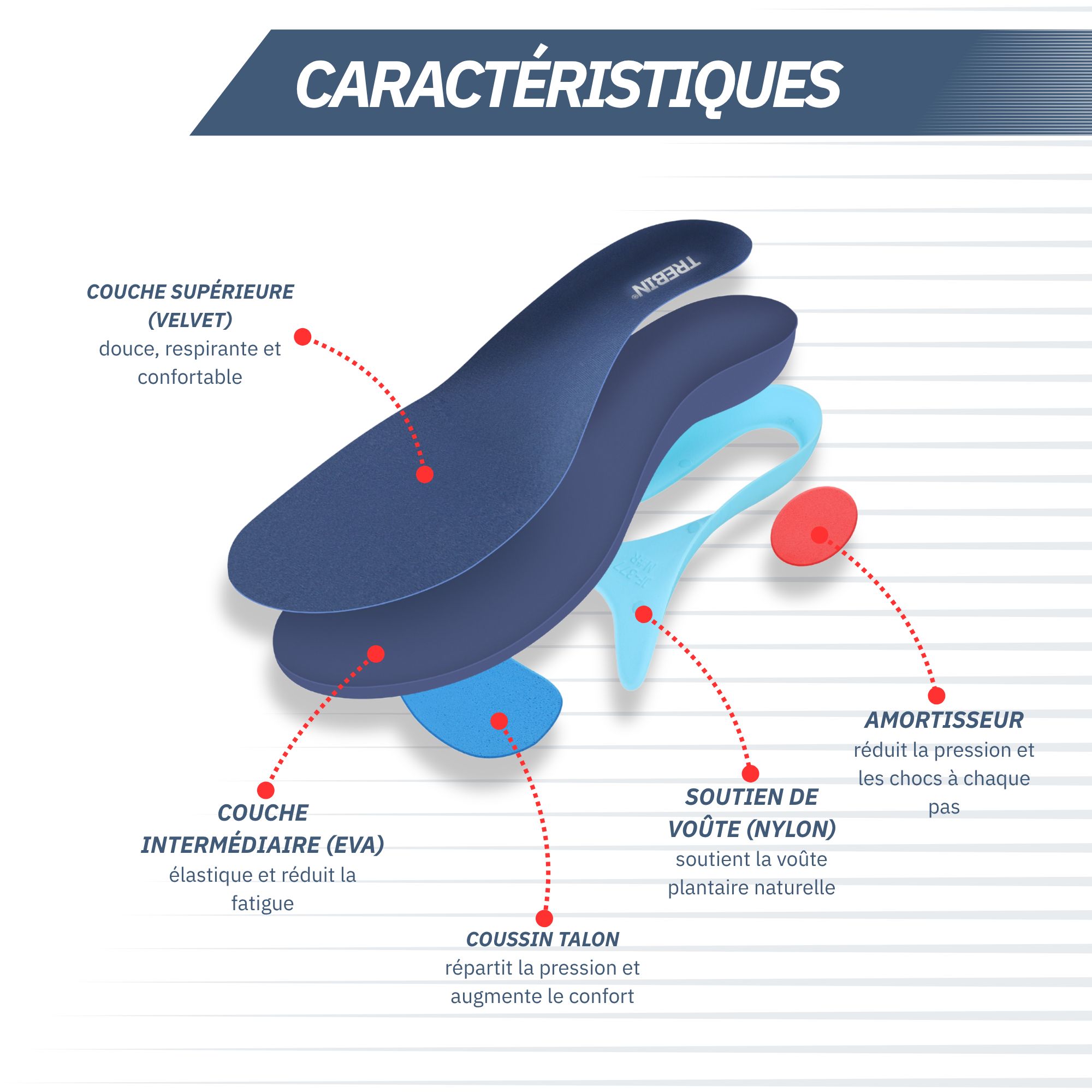 Semelle intérieure multicouche: couche velours, couche intermédiaire EVA, talon, support et amorti.