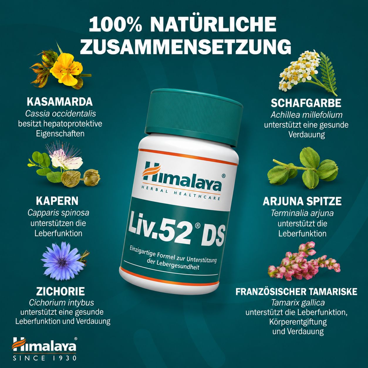 Bouteille de comprimés Himalaya Liv.52 DS avec diverses herbes ayurvédiques.