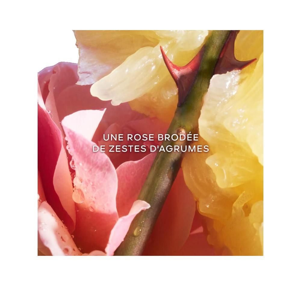 Close-up van een roos en citrusvruchten. Tekst: Une rose brodée de zestes d'agrumes.