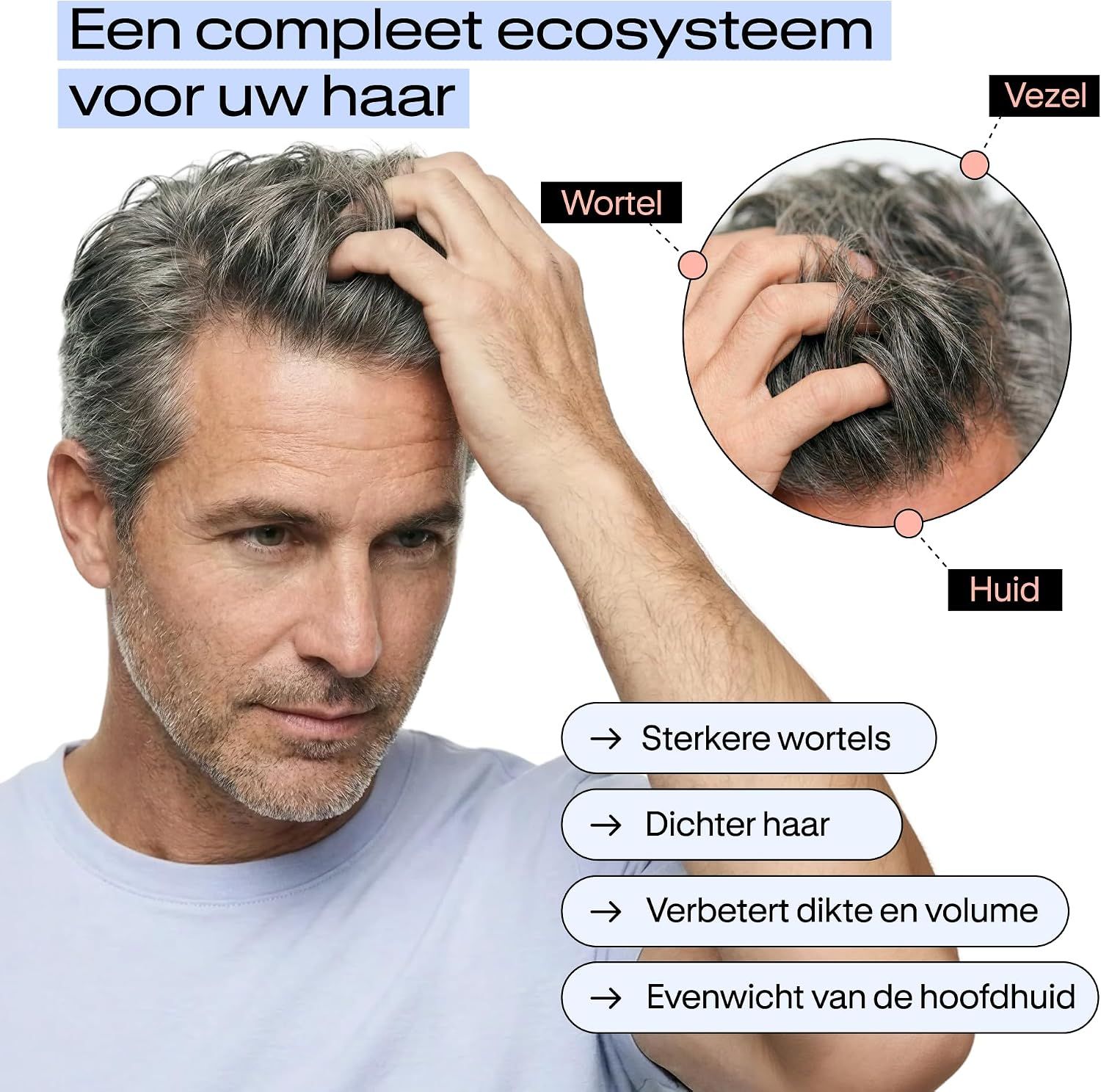 Man met grijs haar krabt aan zijn hoofd. Close-up van hoofdhuid met labels: wortel, huid, vezel.