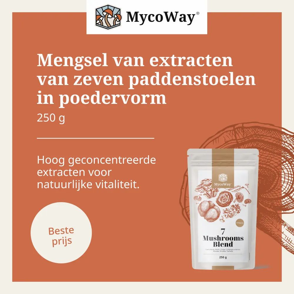 Productverpakking met tekst. Tekst: Mengsel van extracten van zeven paddenstoelen in poedervorm, 250 g. Beste prijs.