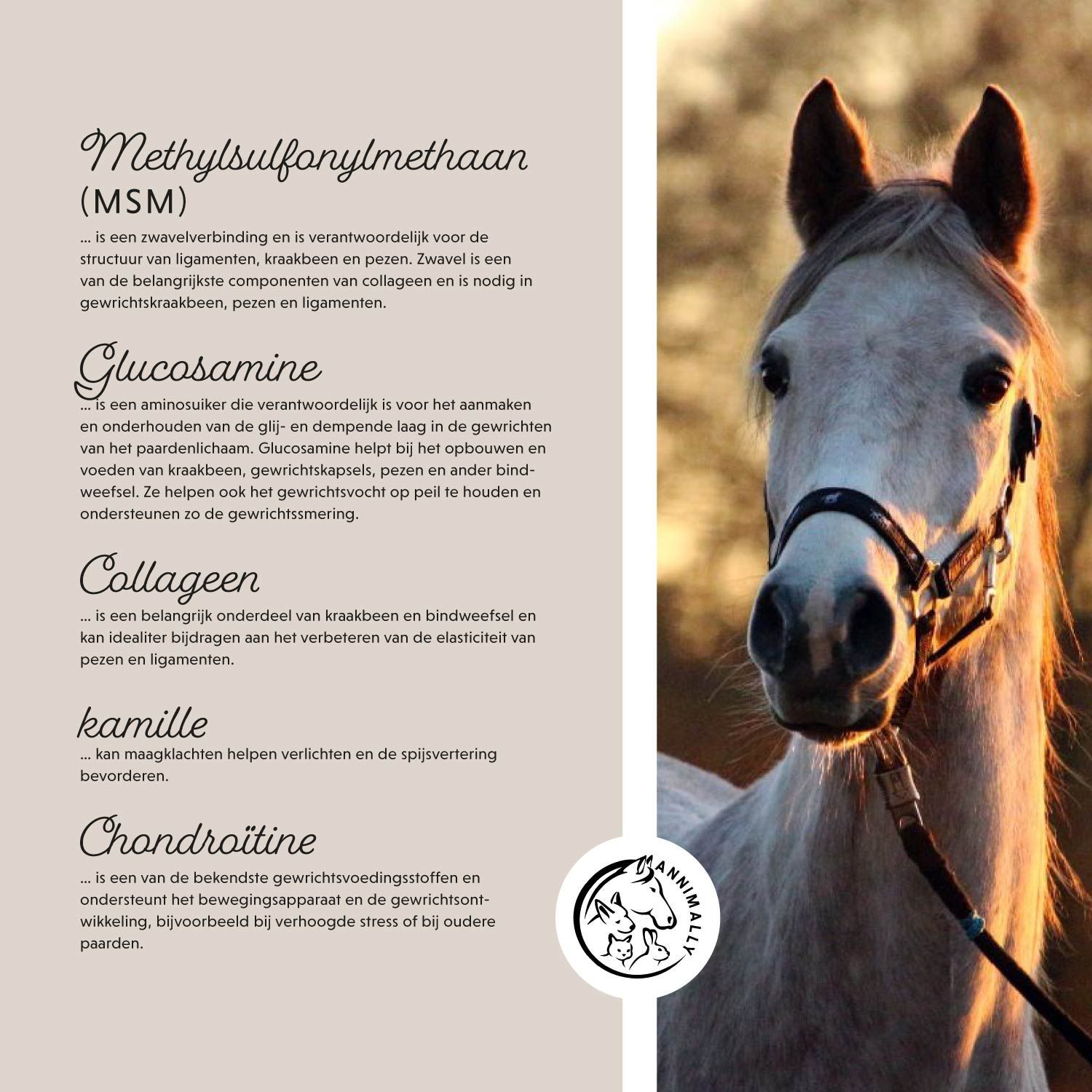 Paard met halster. Tekst: Ingrediënten. Logo. MSM, Glucosamine, Collageen, Kamille, Chondroïtine.