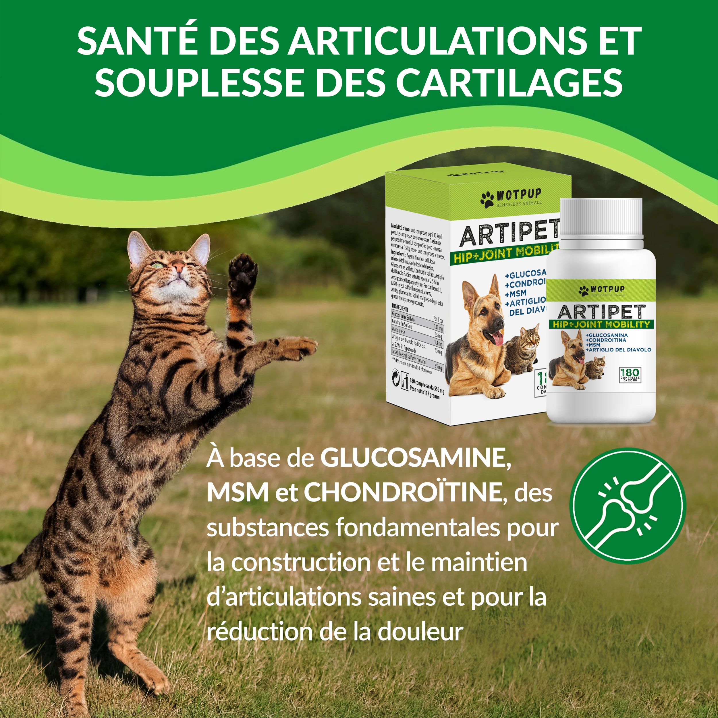 Artipet © Gewrichtssupplement voor Honden en Katten met Glucosamine en Chondroïtine