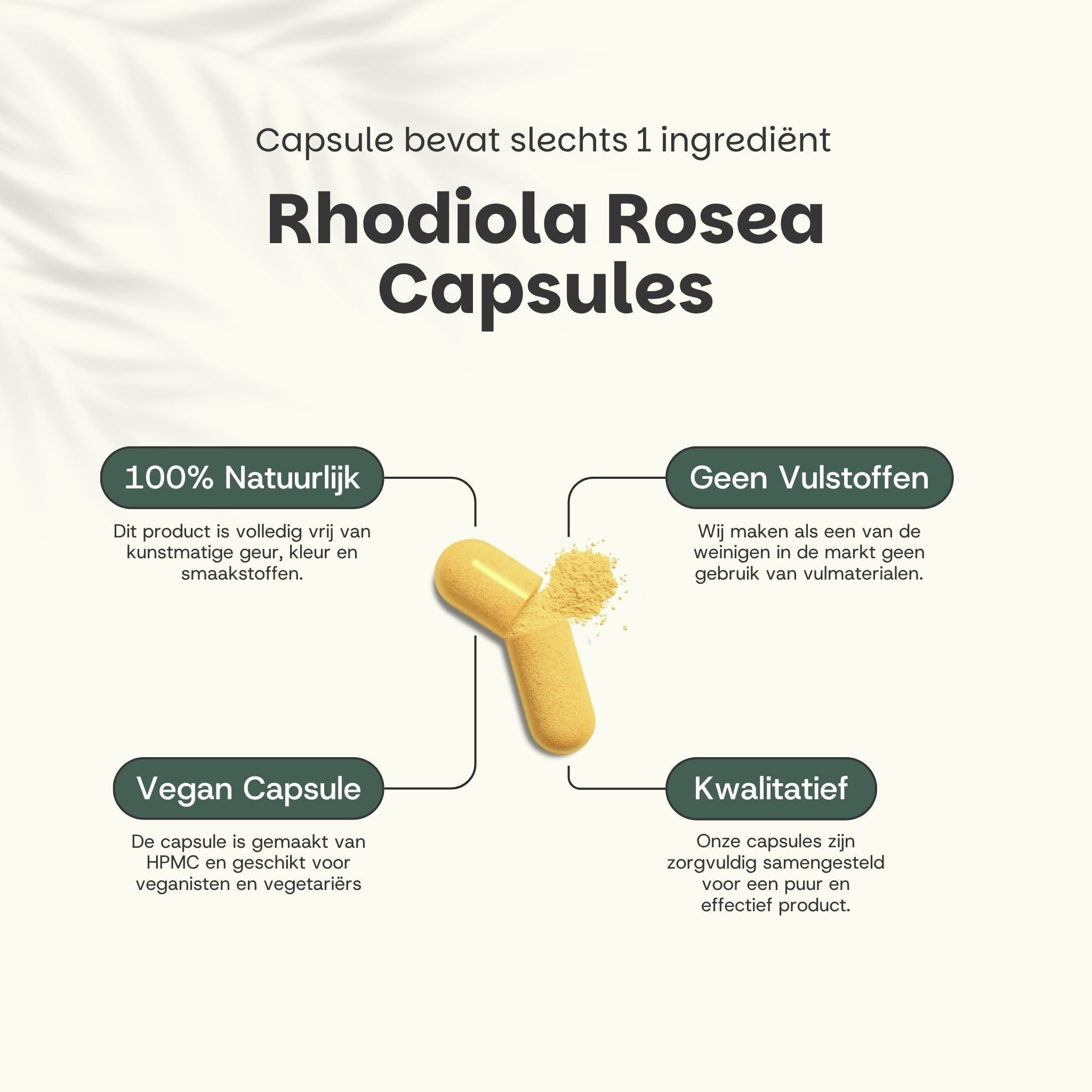GOYU® - Rhodiola Rosea Capsules 500 mg - Multipack