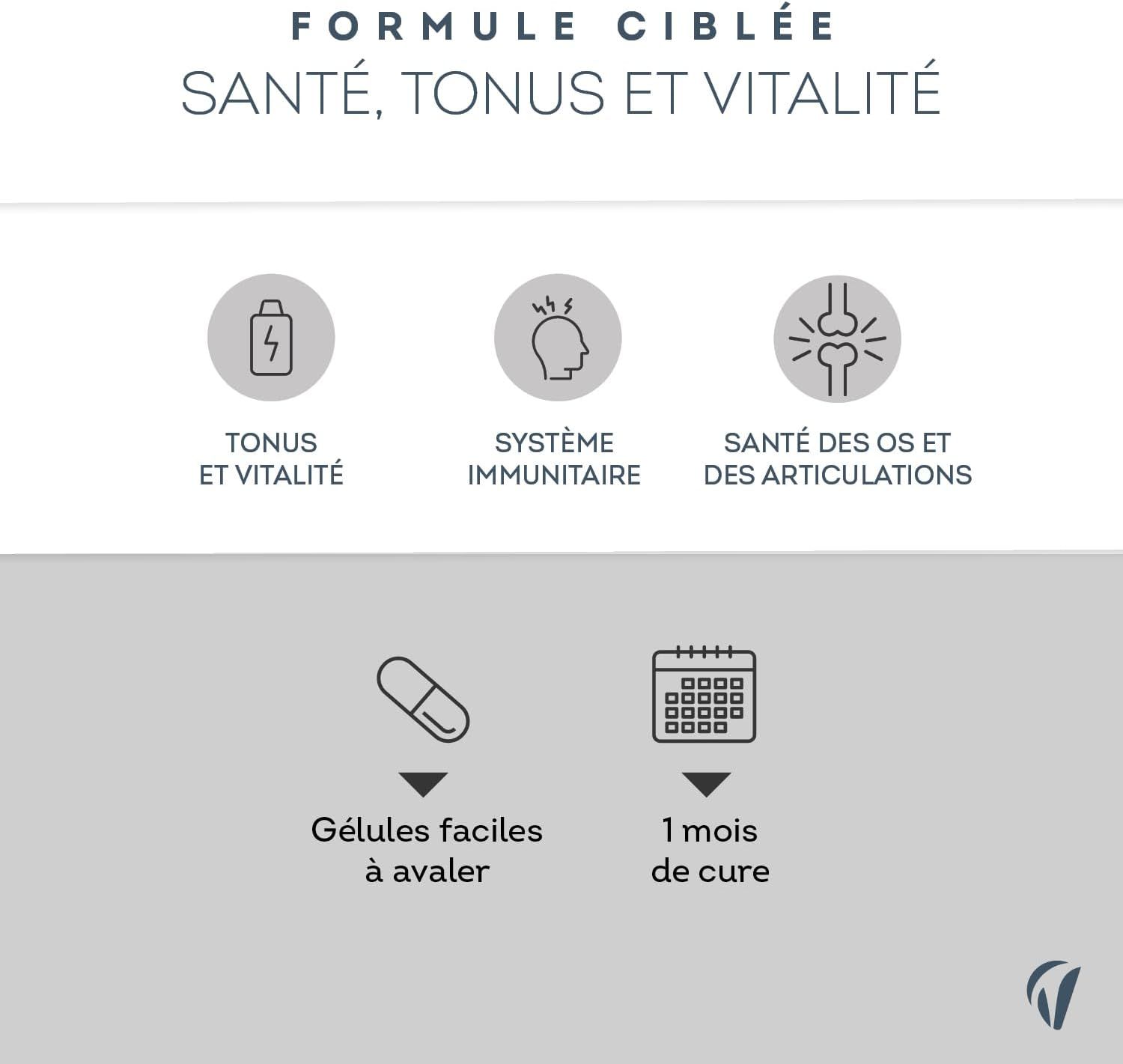 Gélules Vitavea Shilajit : Formule ciblée pour la santé, le tonus et la vitalité. Faciles à avaler, cure 1 mois.