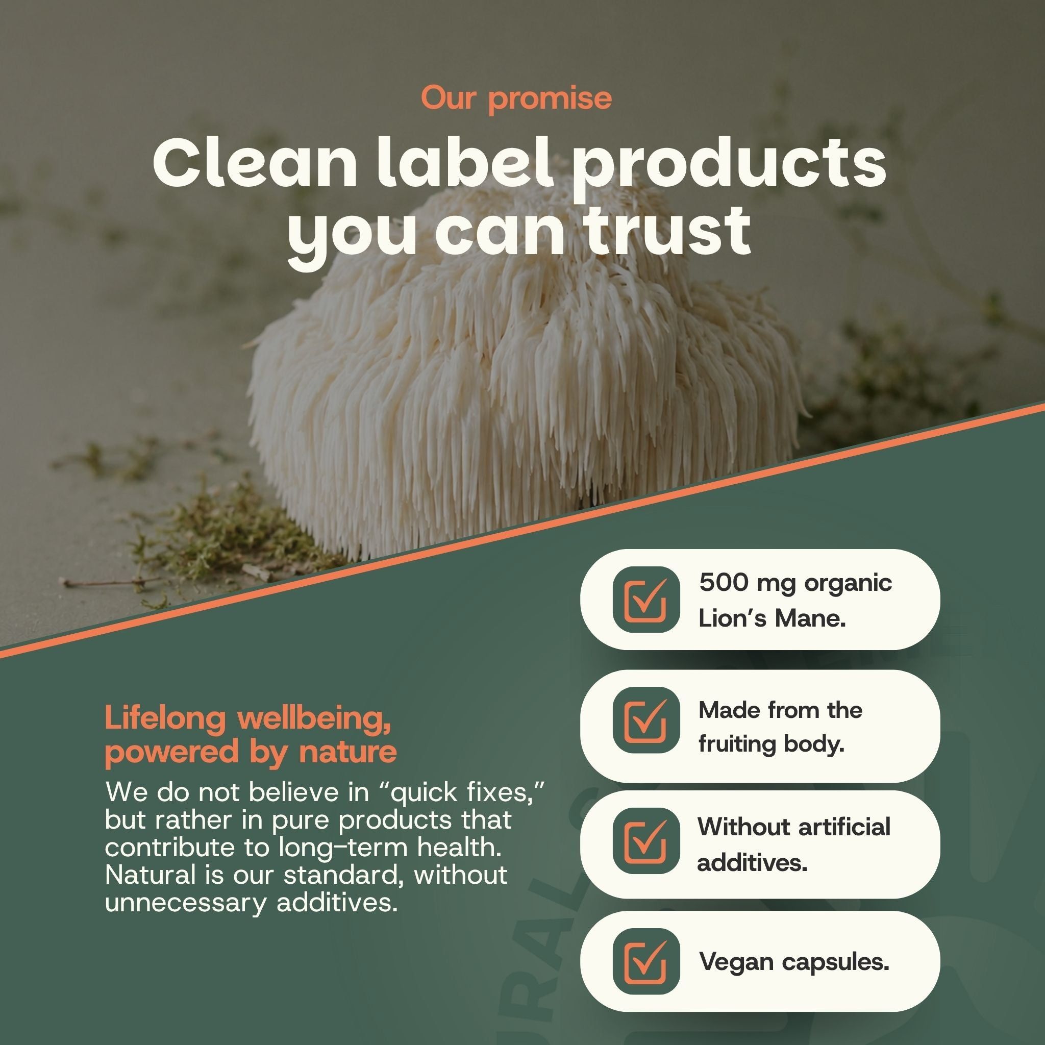 500 mg de Lion's Mane bio, issu du corps fructifère, sans additifs artificiels, gélules végétaliennes. Promet des produits à étiquette propre.