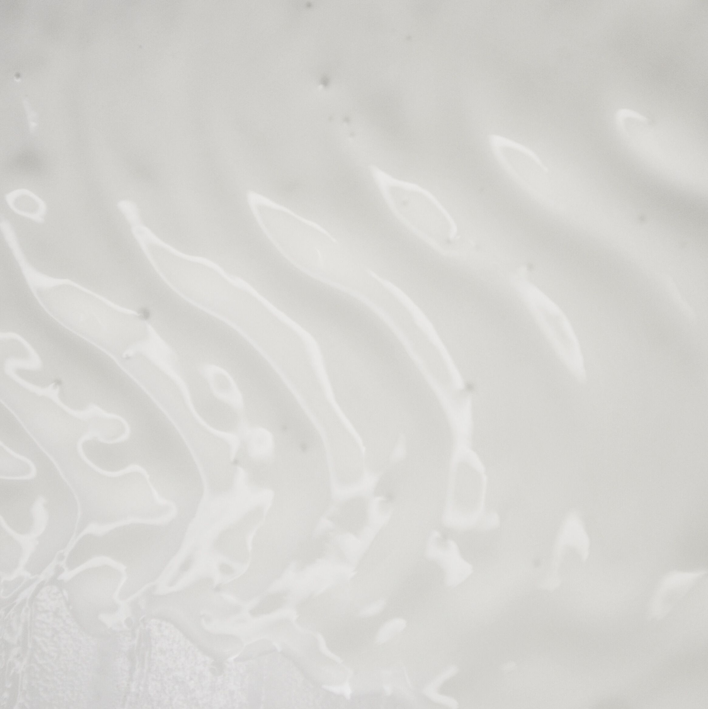 Gros plan d'une crème blanche. Texture ondulée.