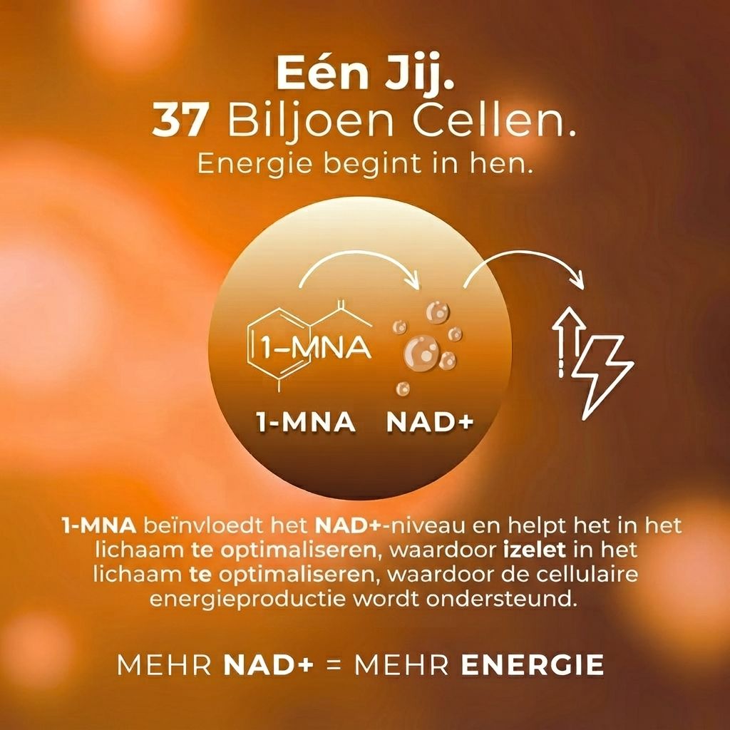 Grafiek toont chemische formules 1-MNA en NAD+ met pijlen die een proces weergeven. Bliksemschichtsymbool voor energie.
