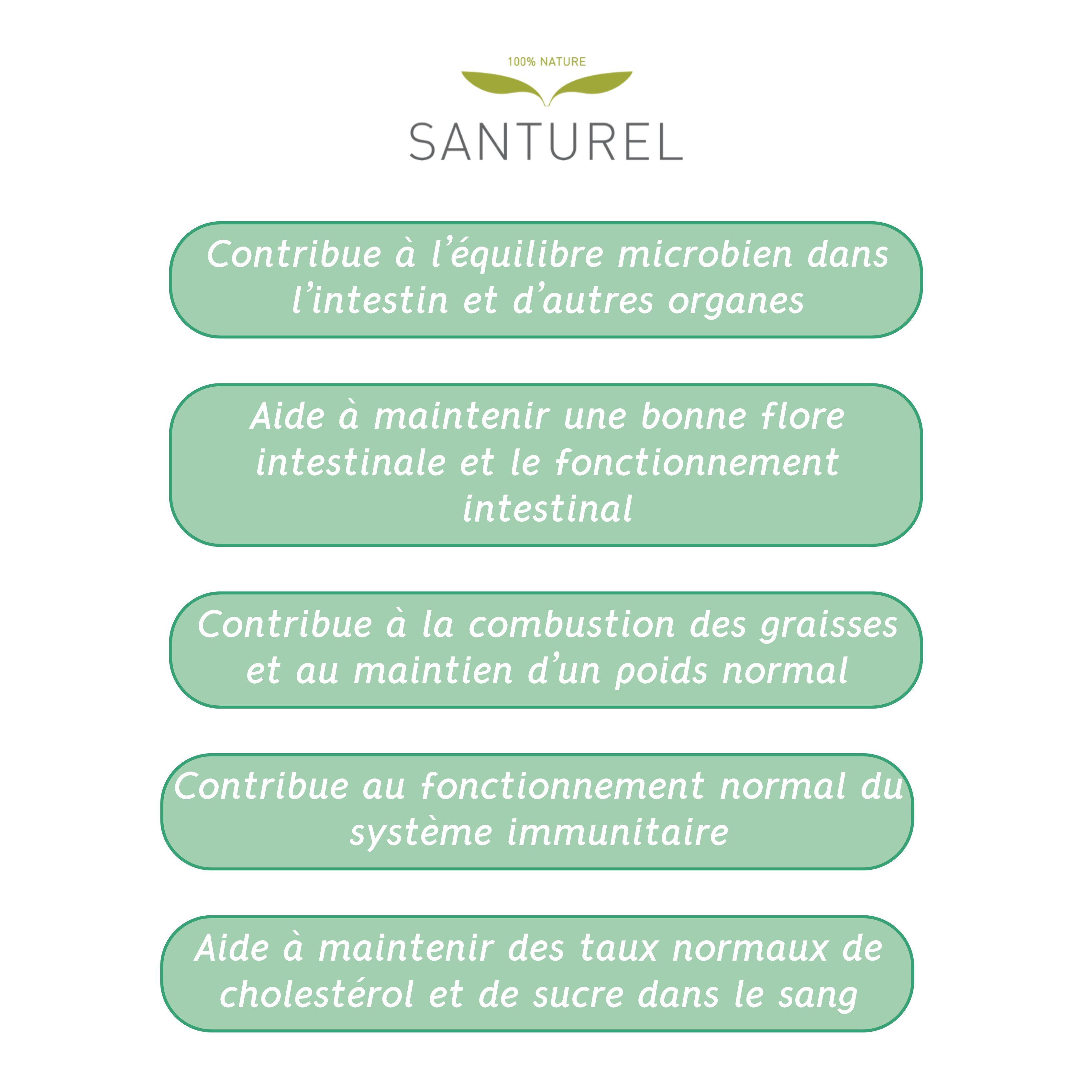 Texte sur fond vert. Déclarations sur l'équilibre de la flore intestinale, la fonction intestinale, le contrôle du poids et l'immunité.