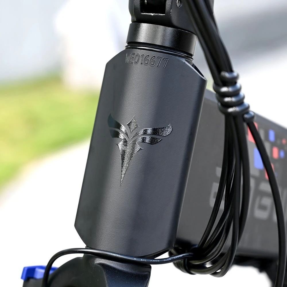 ENGWE Engine X 20 inch opvouwbare elektrische fiets met 250W motor en 48V 13Ah accu