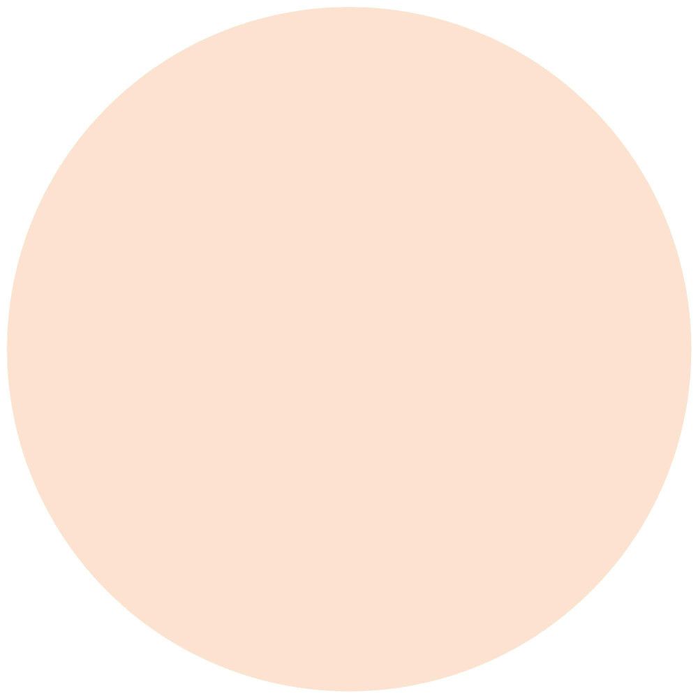 Cercle de couleur beige clair. Surface lisse, sans texture ni détails.