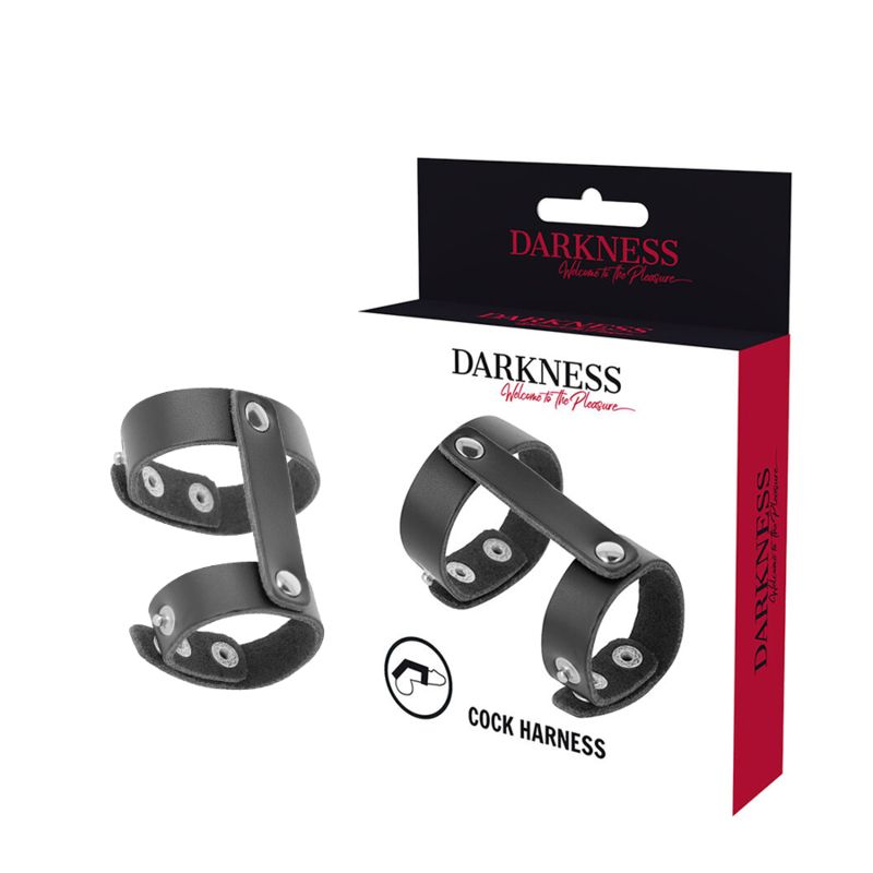 Harnais de pénis en cuir noir avec deux anneaux et des rivets, emballé dans une boîte noire avec un accent rouge.