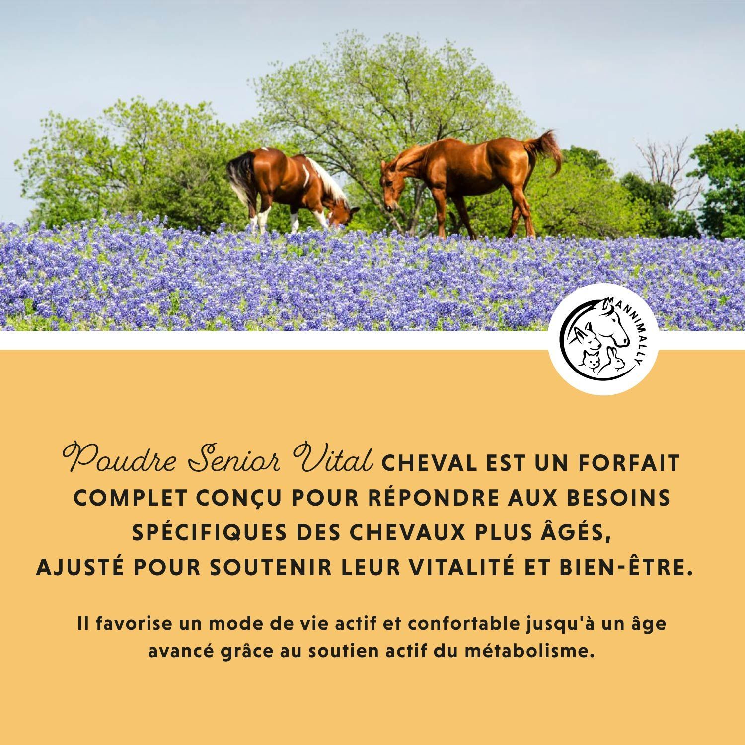 Deux chevaux dans un champ. Texte: Poudre Senior Vital CHEVAL. Logo avec cheval, chien et lapin.