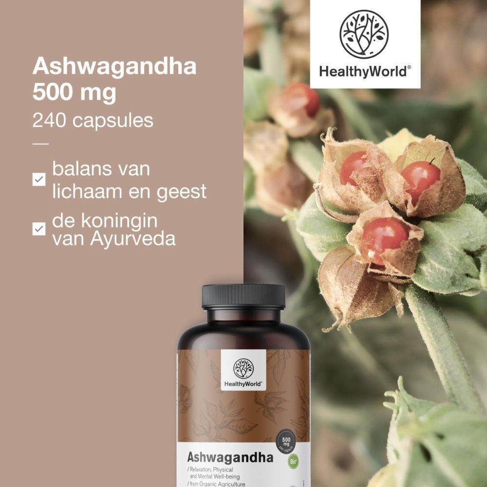Fles met Ashwagandha capsules. Tekst: HealthyWorld, 500 mg, 240 capsules. Balans van lichaam en geest.