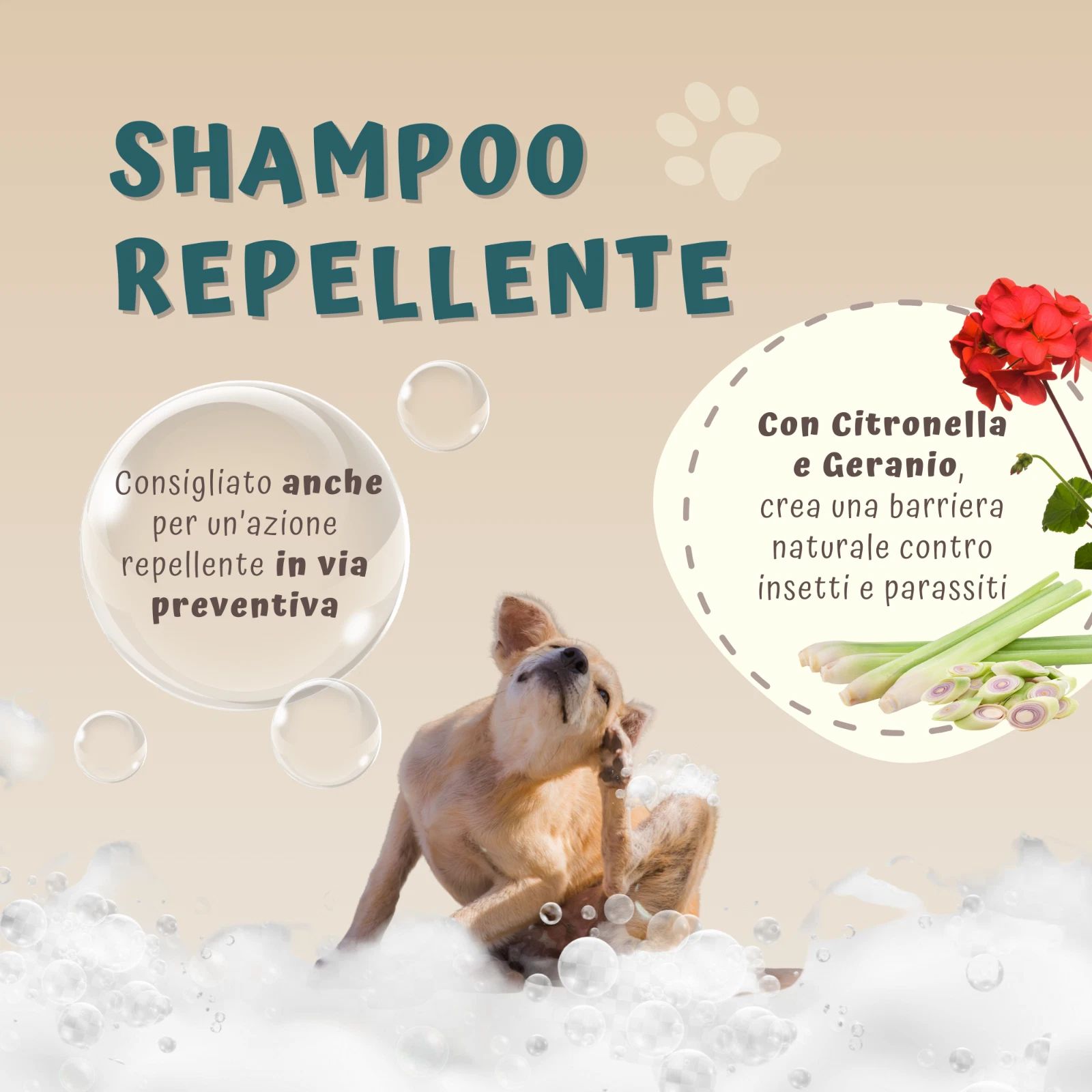Illustratie met hond, zeepbellen en planten. Tekst: Shampoo Repellent. Met citroengras en geranium, barrière tegen insecten.