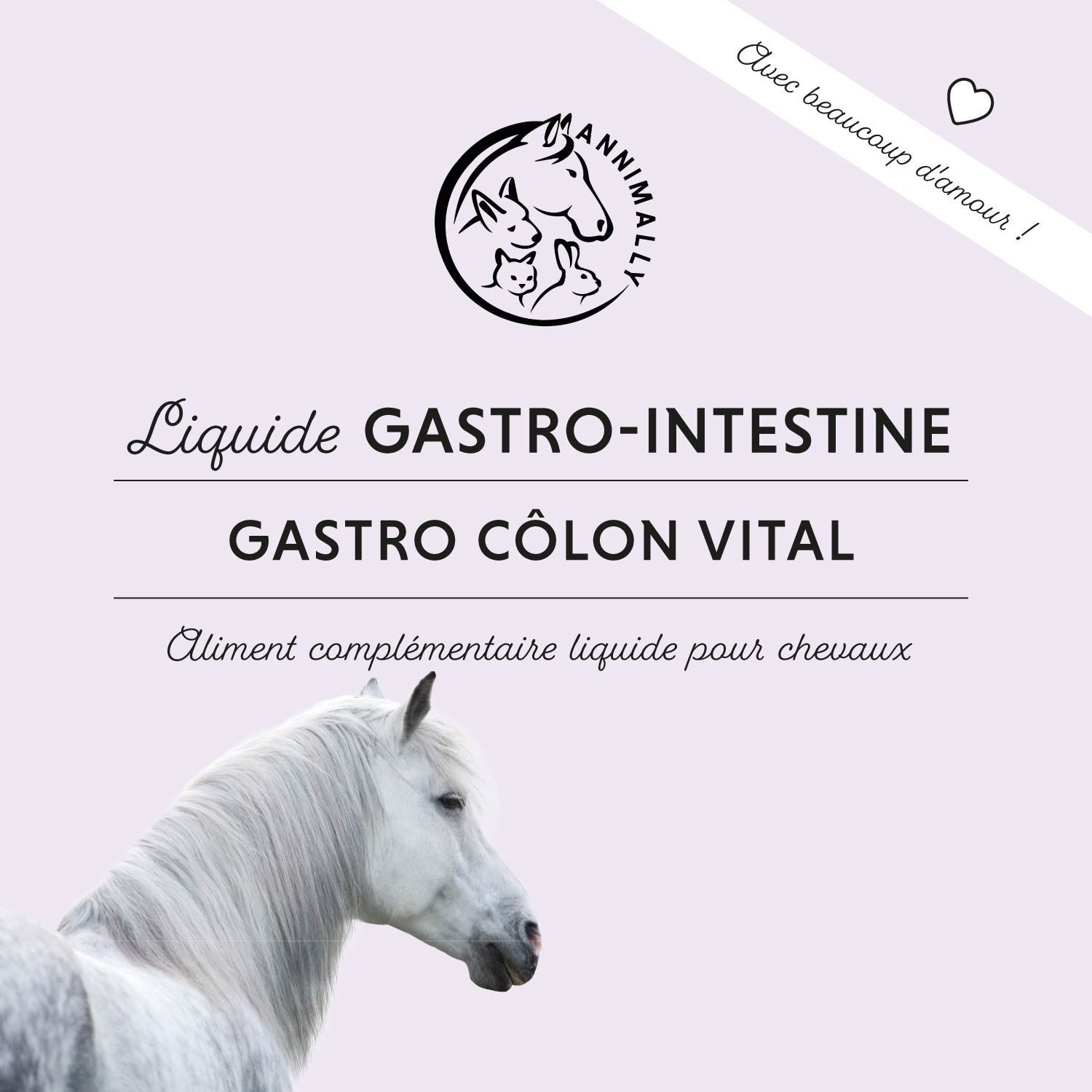 Texte: Gastro-Còlon Vital. Logo cheval. Trois chevaux dans l'herbe.