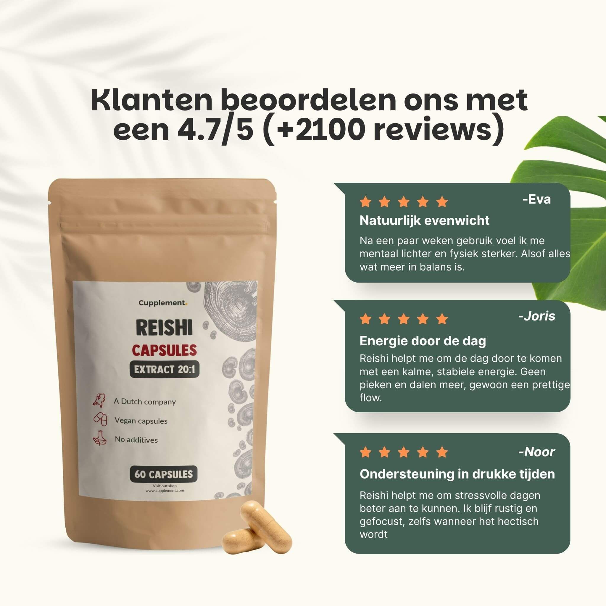 Reishi capsules. Klantenbeoordelingen. 4,7/5 sterren. 60 capsules. 3 beoordelingen.