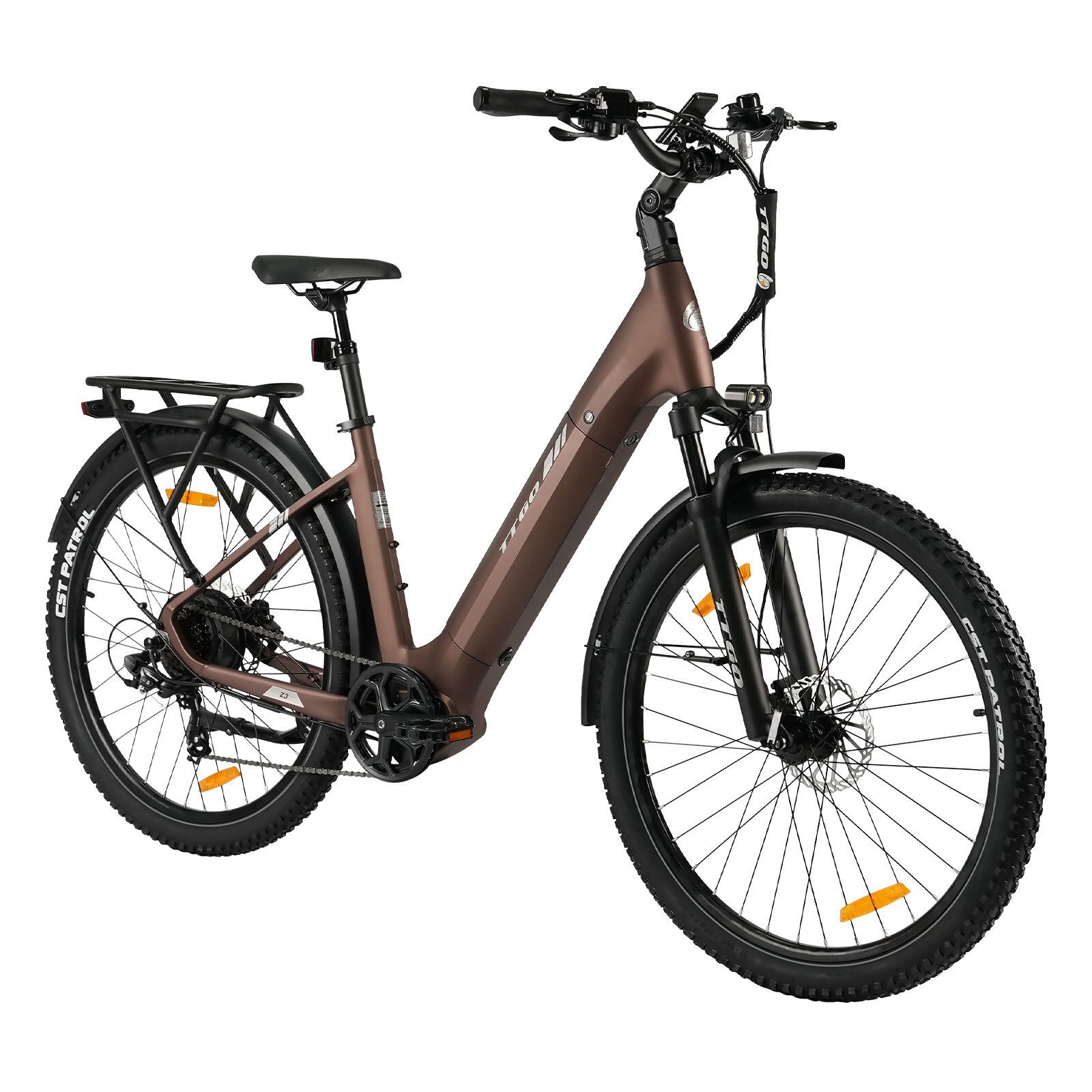 Bruine elektrische fiets met zwarte banden, spatborden en bagagedrager. Hydraulische schijfremmen.