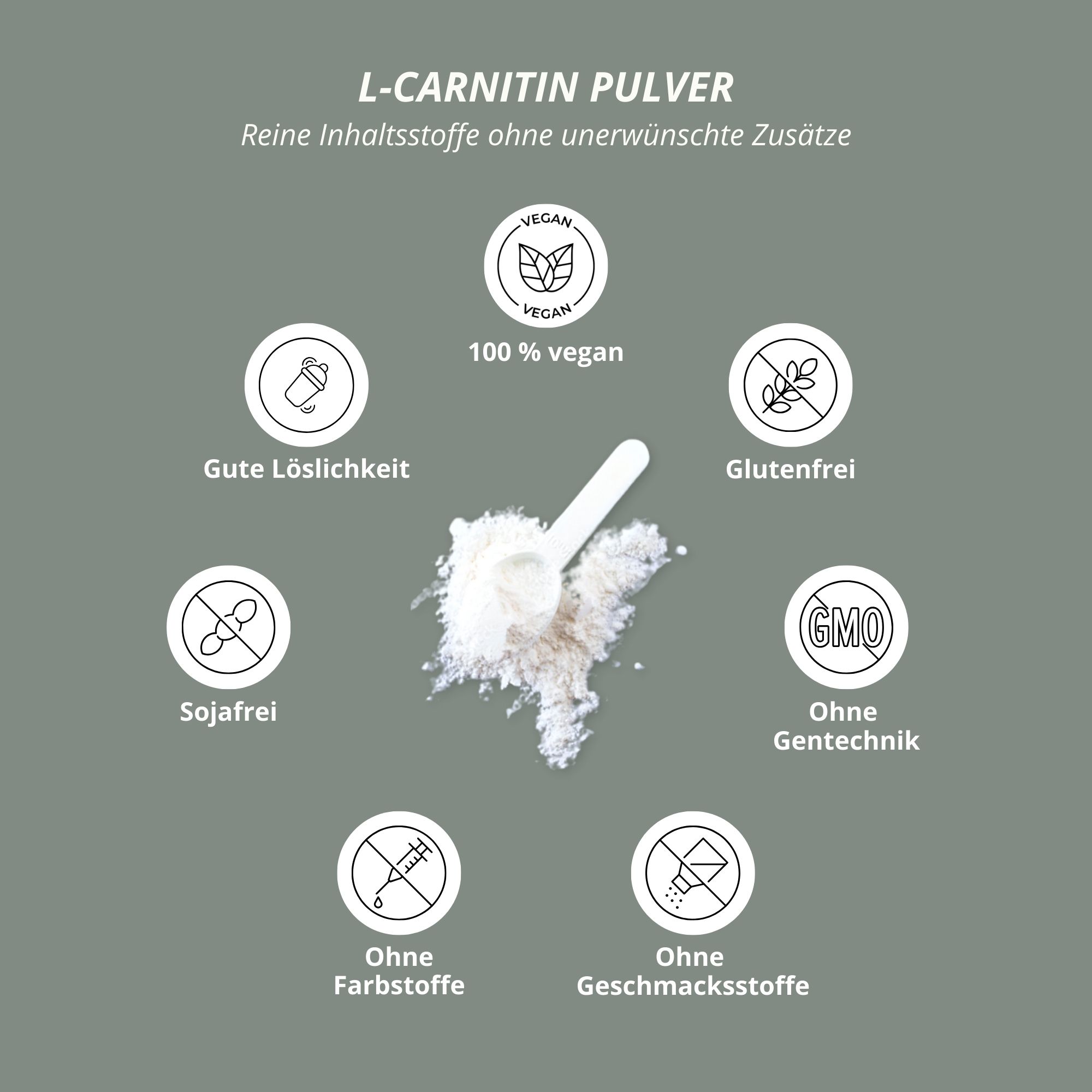 nutri+ L-Carnitine Carnipure en poudre