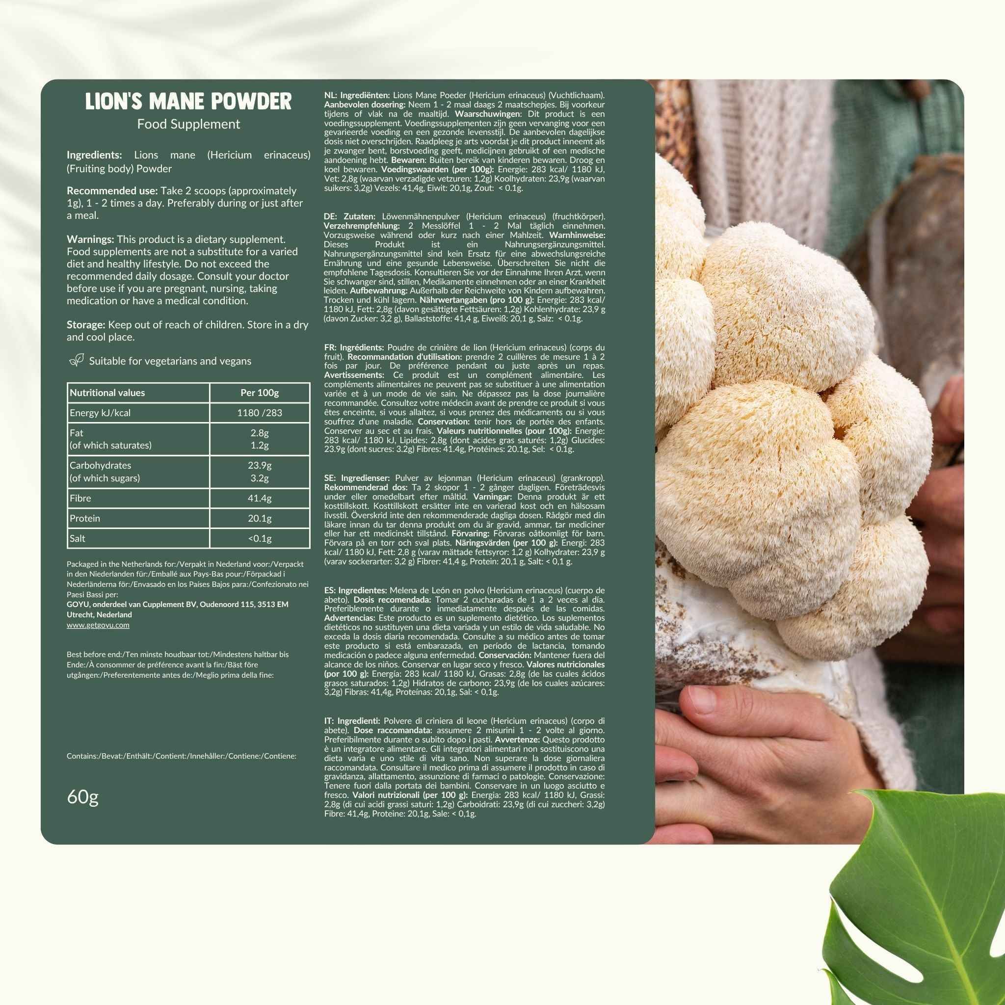 Biologisch Lion's Mane poeder: slechts 1 ingrediënt, 100% natuurlijk, geen vulstoffen, vegan, biologisch.