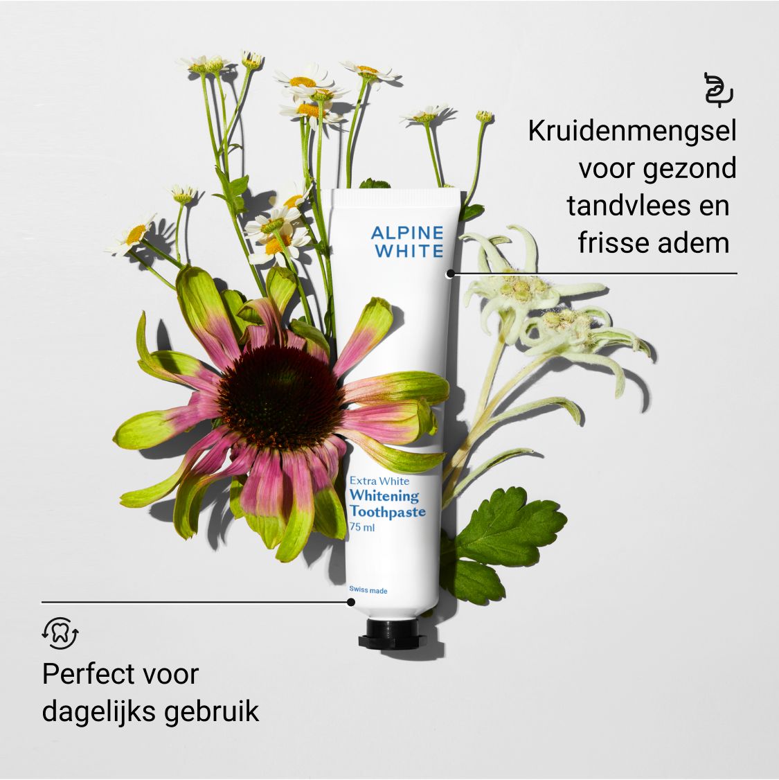 Tandpastatube met bloemen. Tekst: Kruidenmengsel voor gezond tandvlees en frisse adem.
