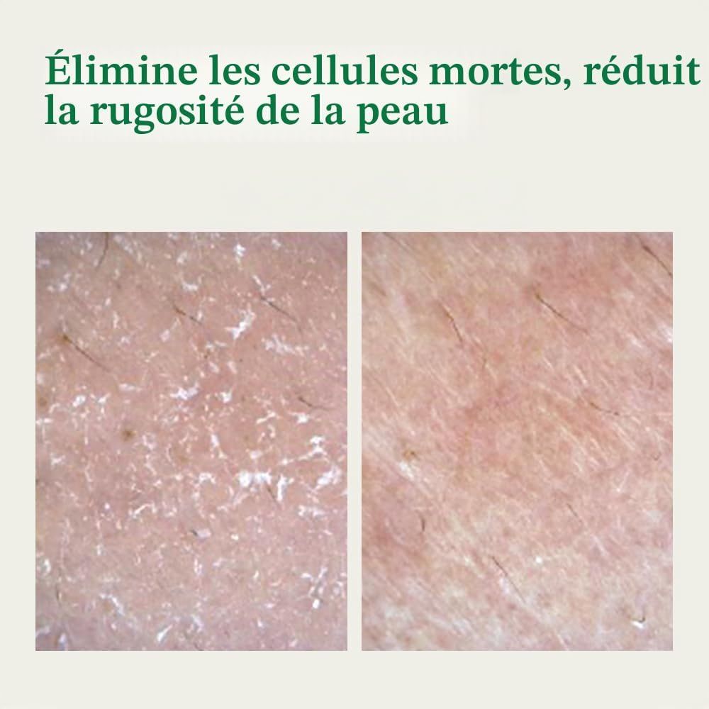 Ampoule verte avec pipette, entourée de branches de plantes vertes.