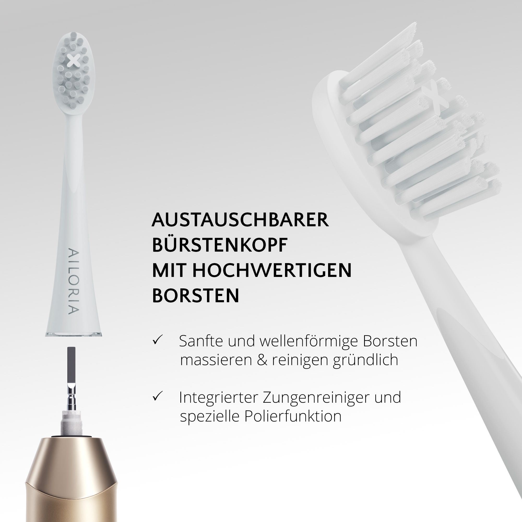 Tête de brosse avec soies de haute qualité. Remplaçable. Texte en allemand.