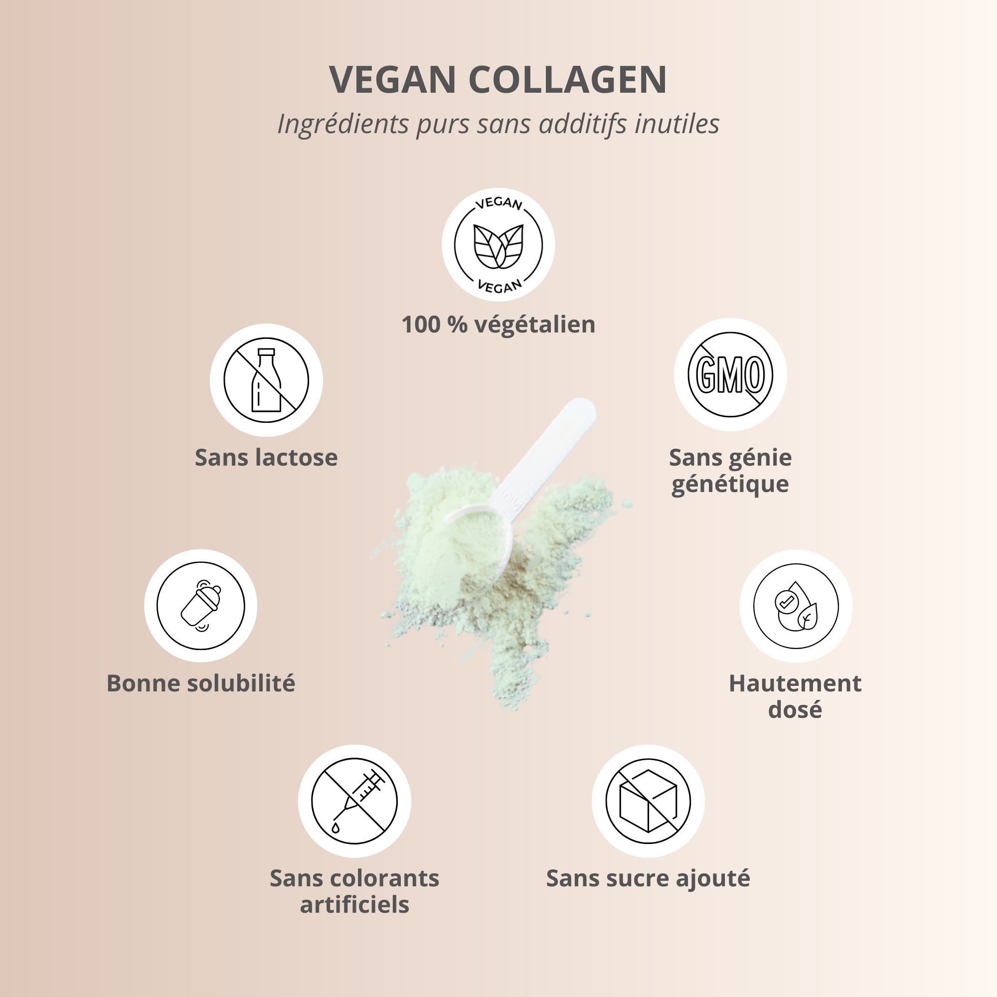 Vegan Collagen. Diagramme avec symboles : végétalien, sans lactose, sans OGM, bonne solubilité, fortement dosé, sans sucre.