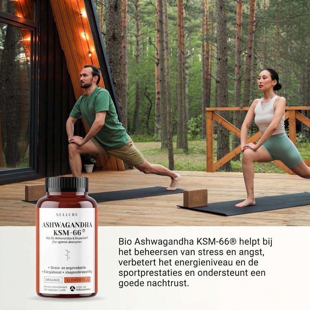 Fles Ashwagandha KSM-66 capsules van bovenaf. Gebruik: 1 capsule, 2x per dag, bij maaltijd. 120 capsules.